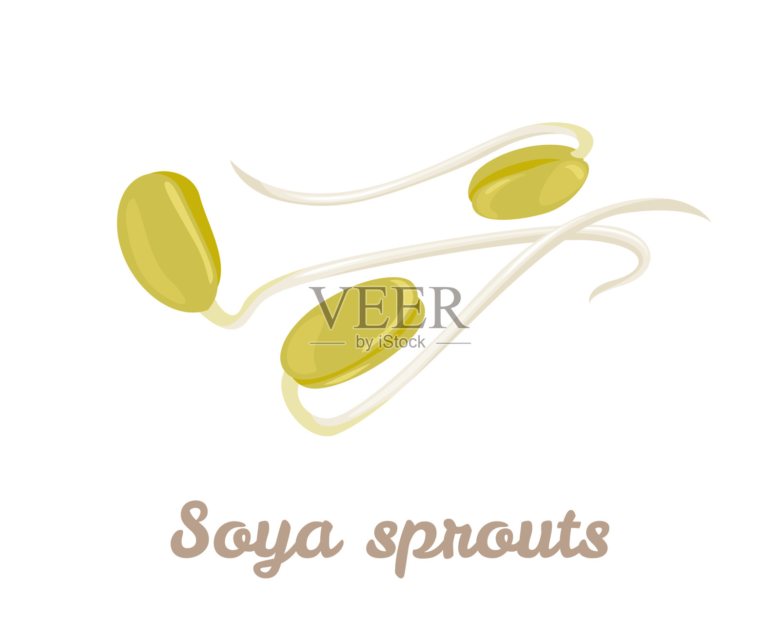 大豆芽图标孤立在白色背景。矢量插图蔬菜生长发芽大豆在卡通扁平风格。插画图片素材