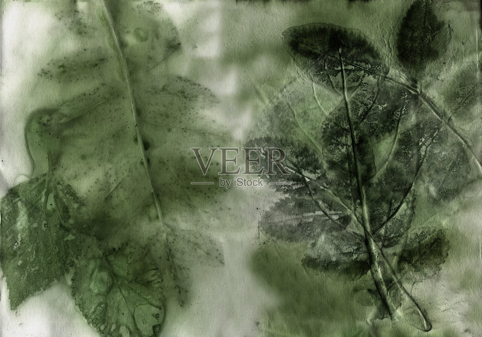 Ecoprint树叶。纸上的植物印记。的背景。插画图片素材