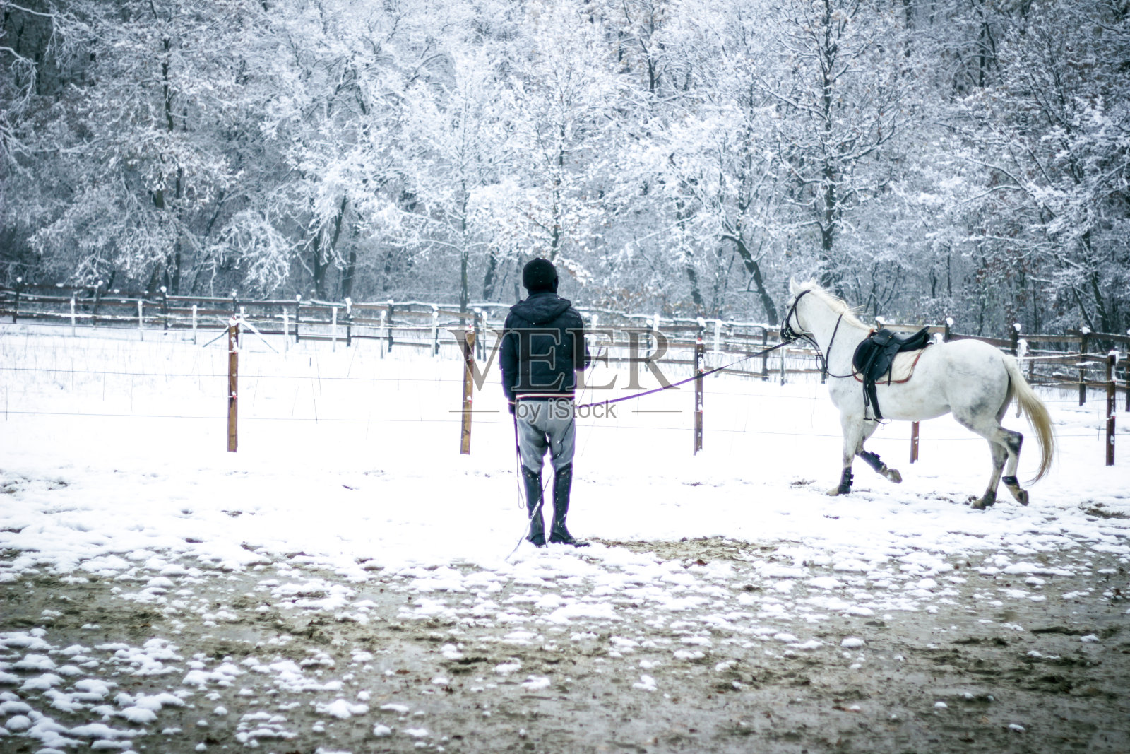 训练马弓箭步照片摄影图片