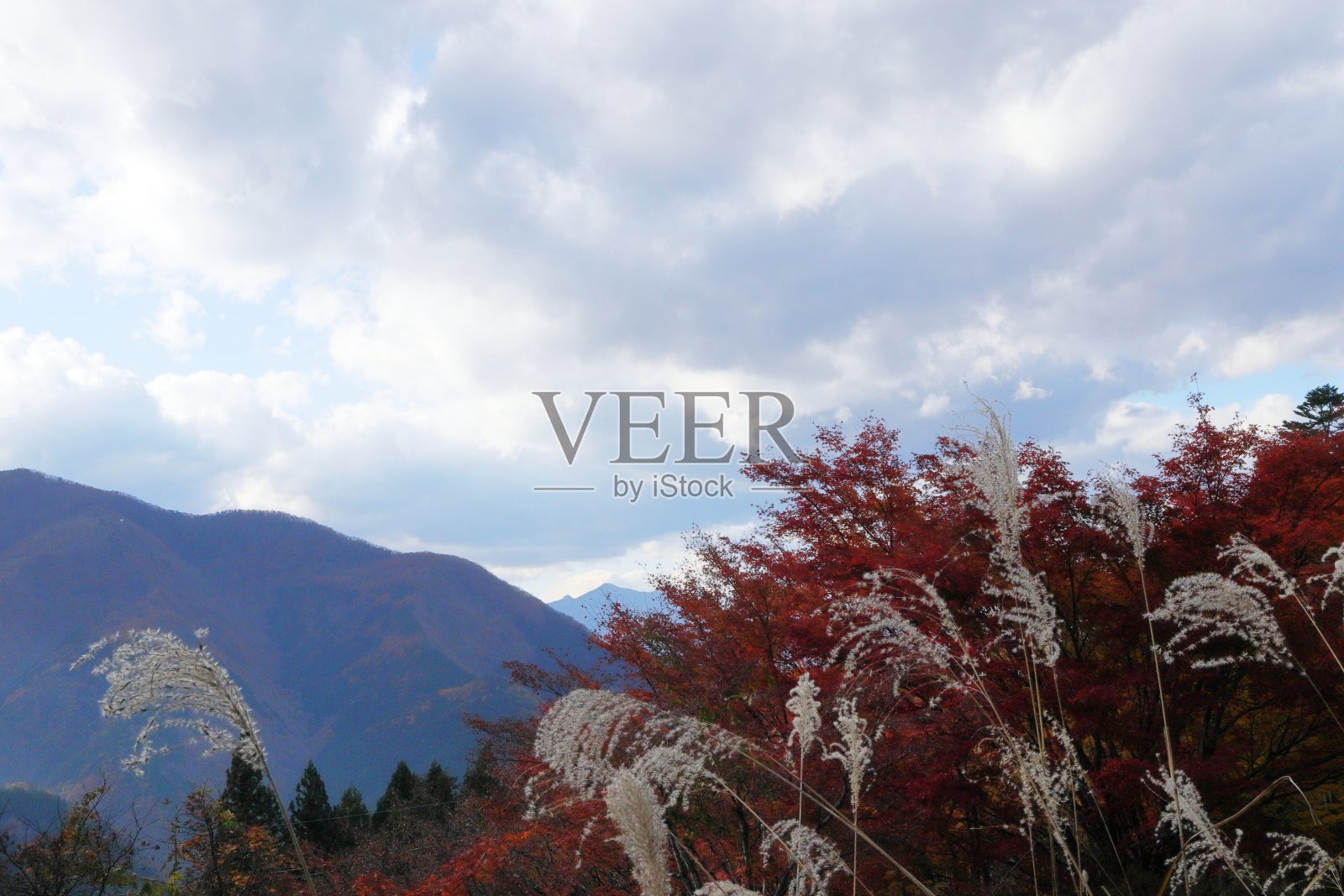 日本，秩父山顶风光照片摄影图片