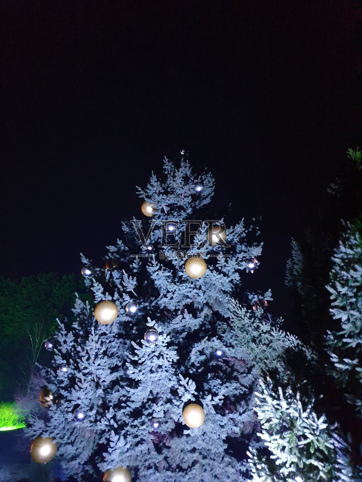 贝德格伯里的圣诞彩灯照片摄影图片