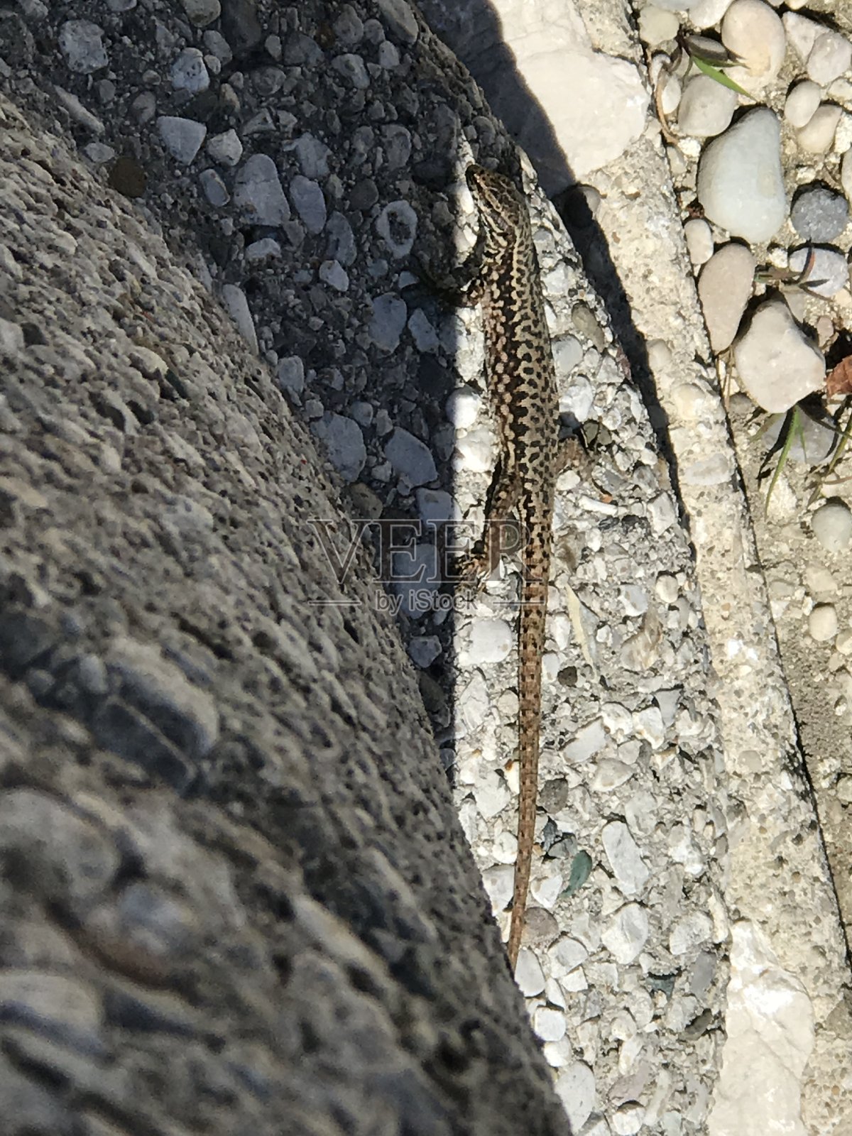 自然照片摄影图片