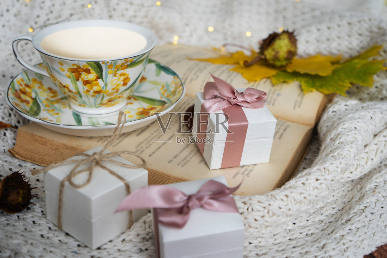 秋天flatlay概念。照片摄影图片