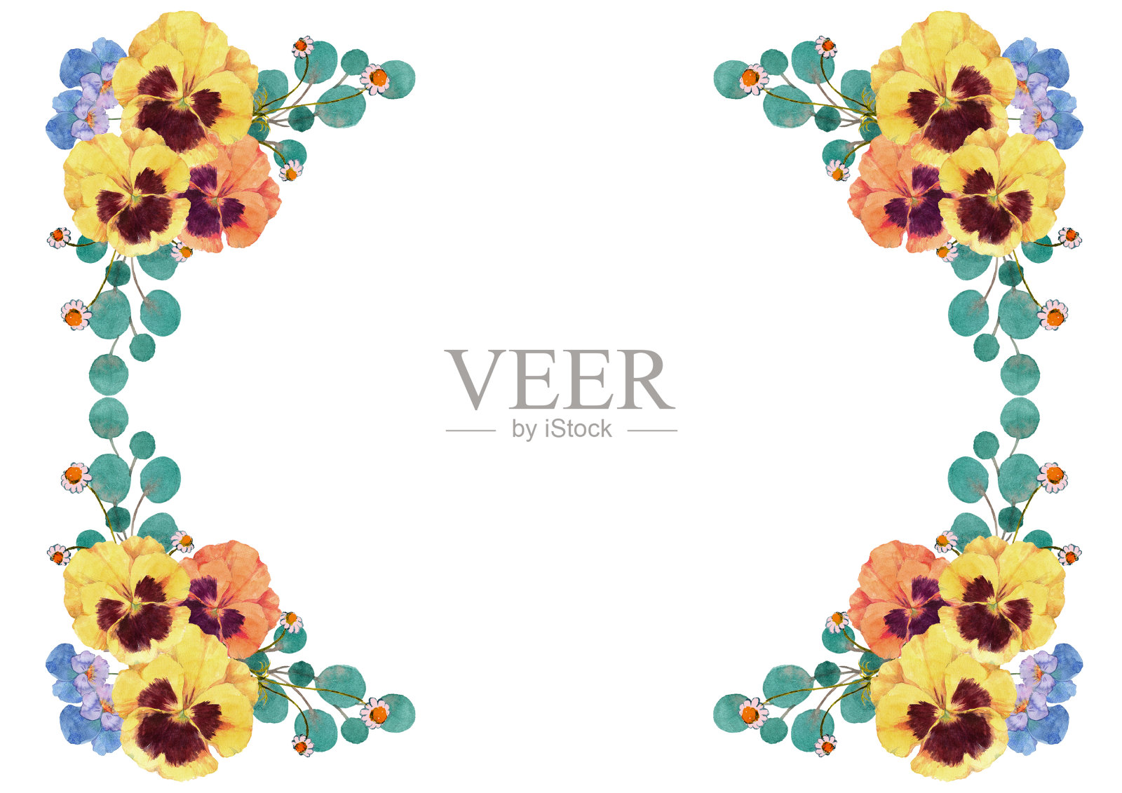 三色堇花的框架插画图片素材