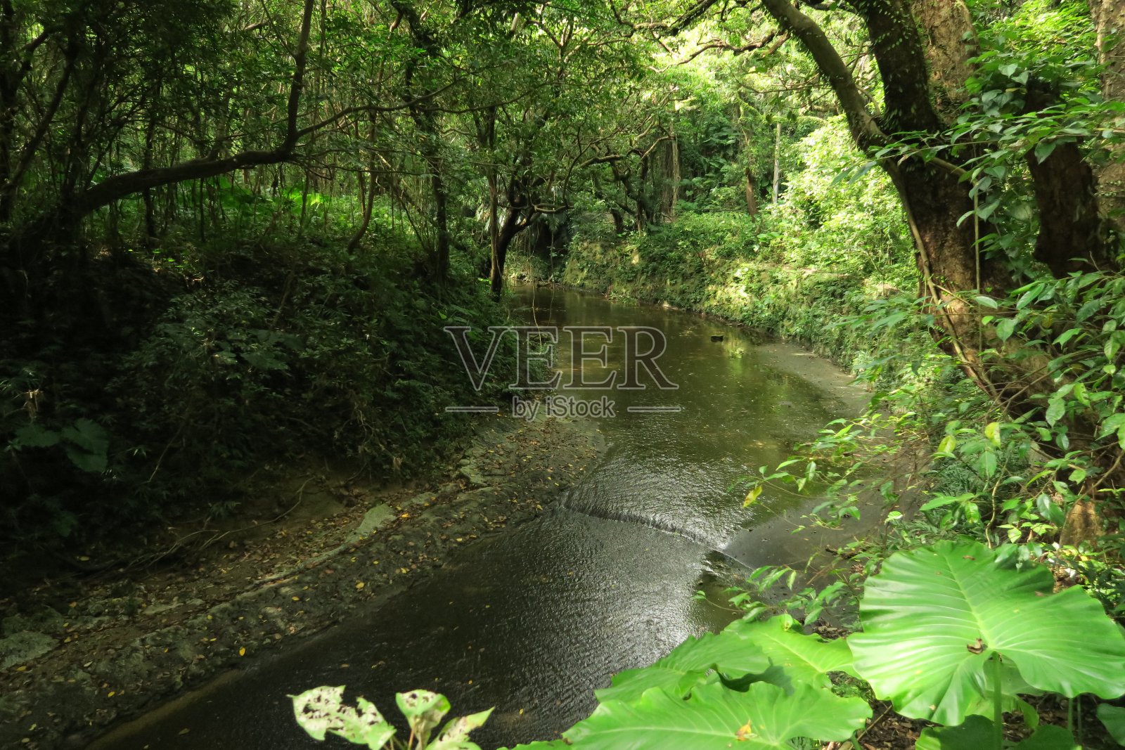 浅的河照片摄影图片