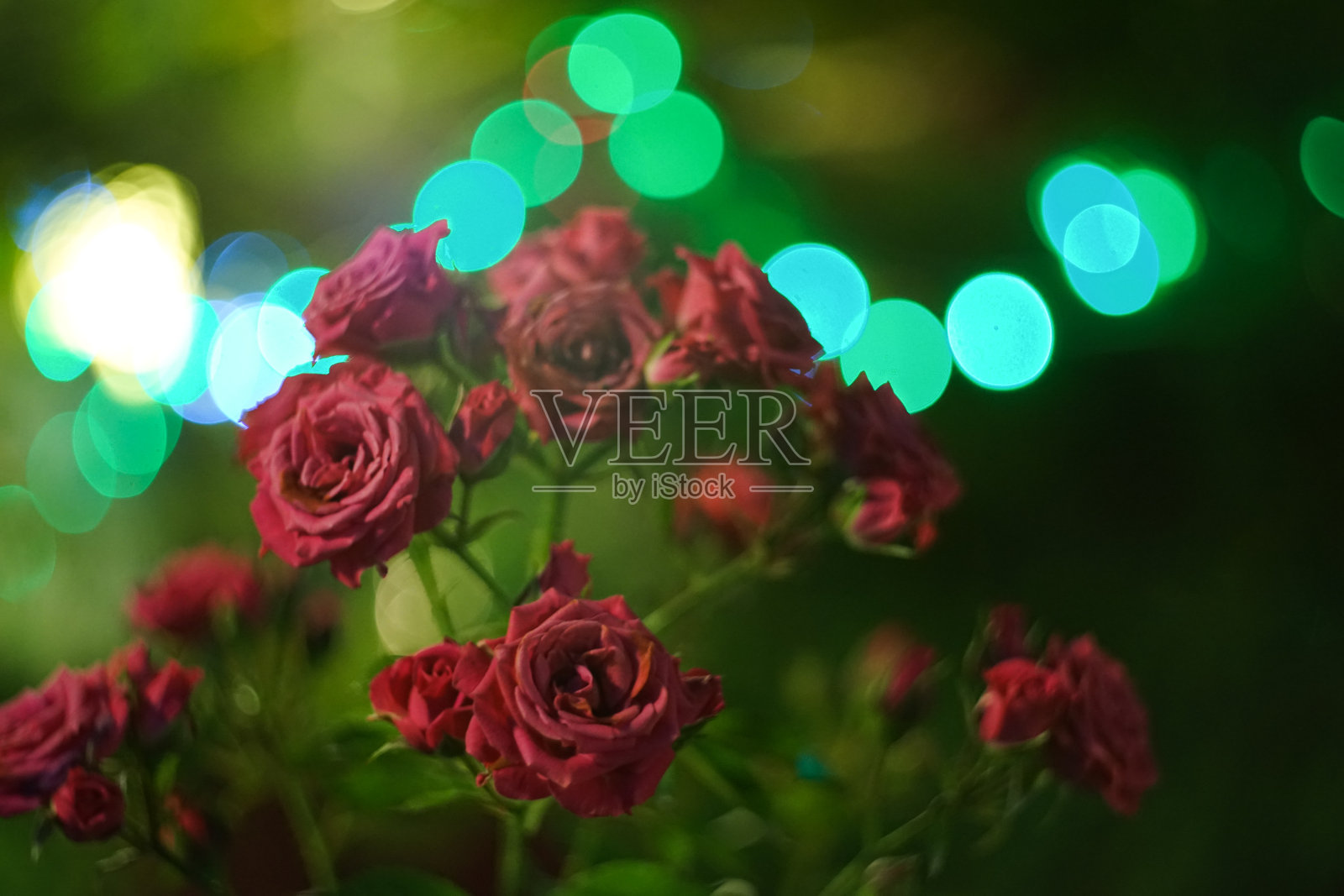 圣诞节就要到了。照片摄影图片