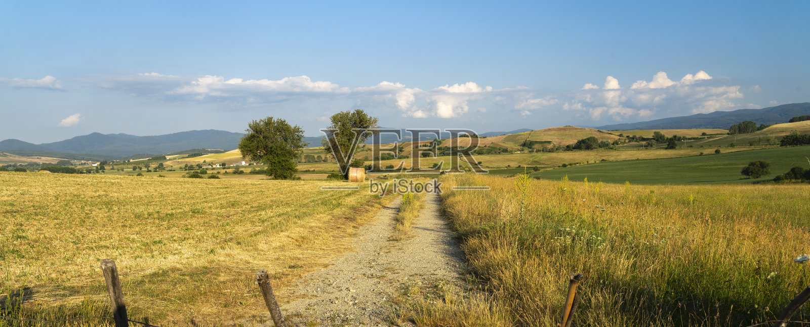 西拉，卡米里亚特洛的夏日风景照片摄影图片