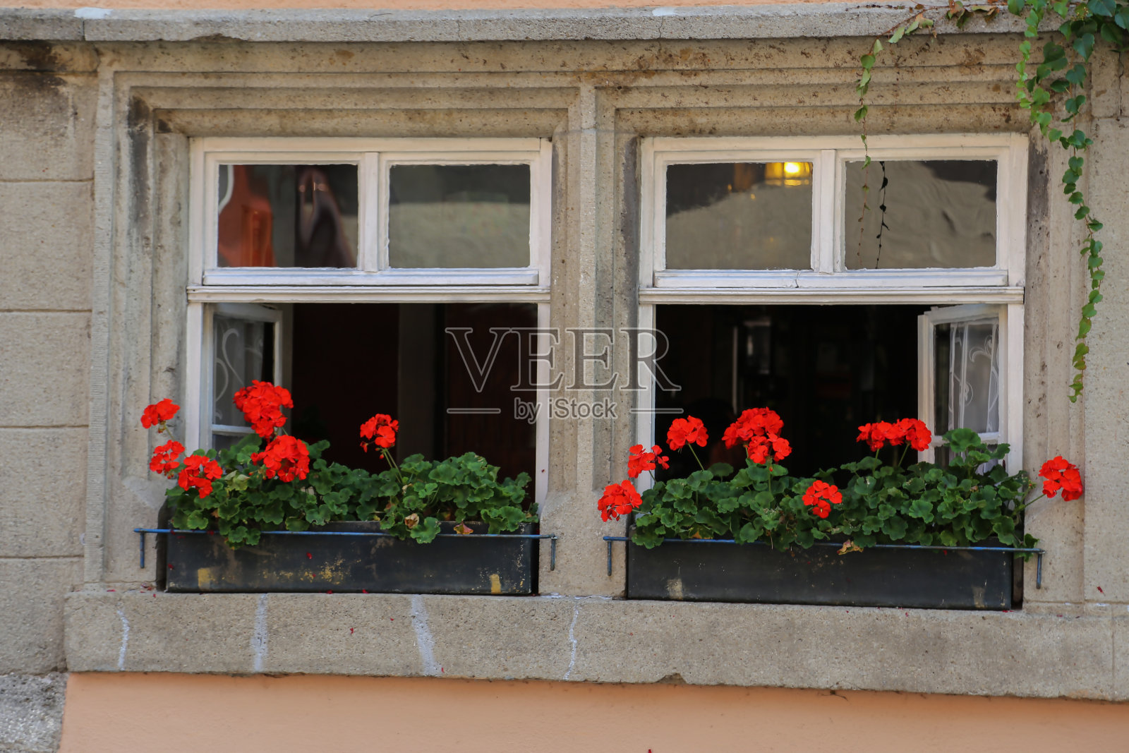 美丽的花朵。窗户上美丽的花朵照片摄影图片