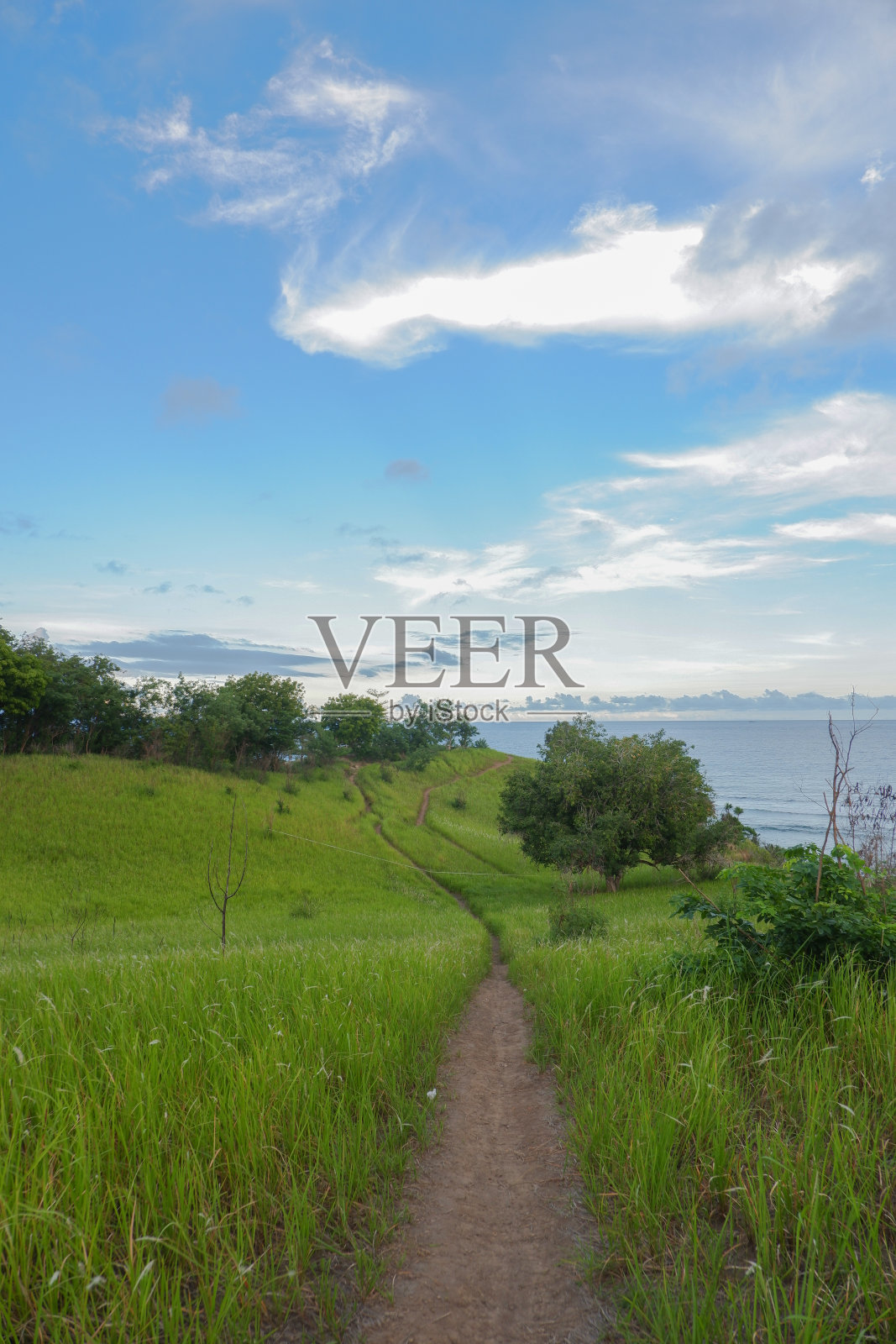 绿色的小山照片摄影图片