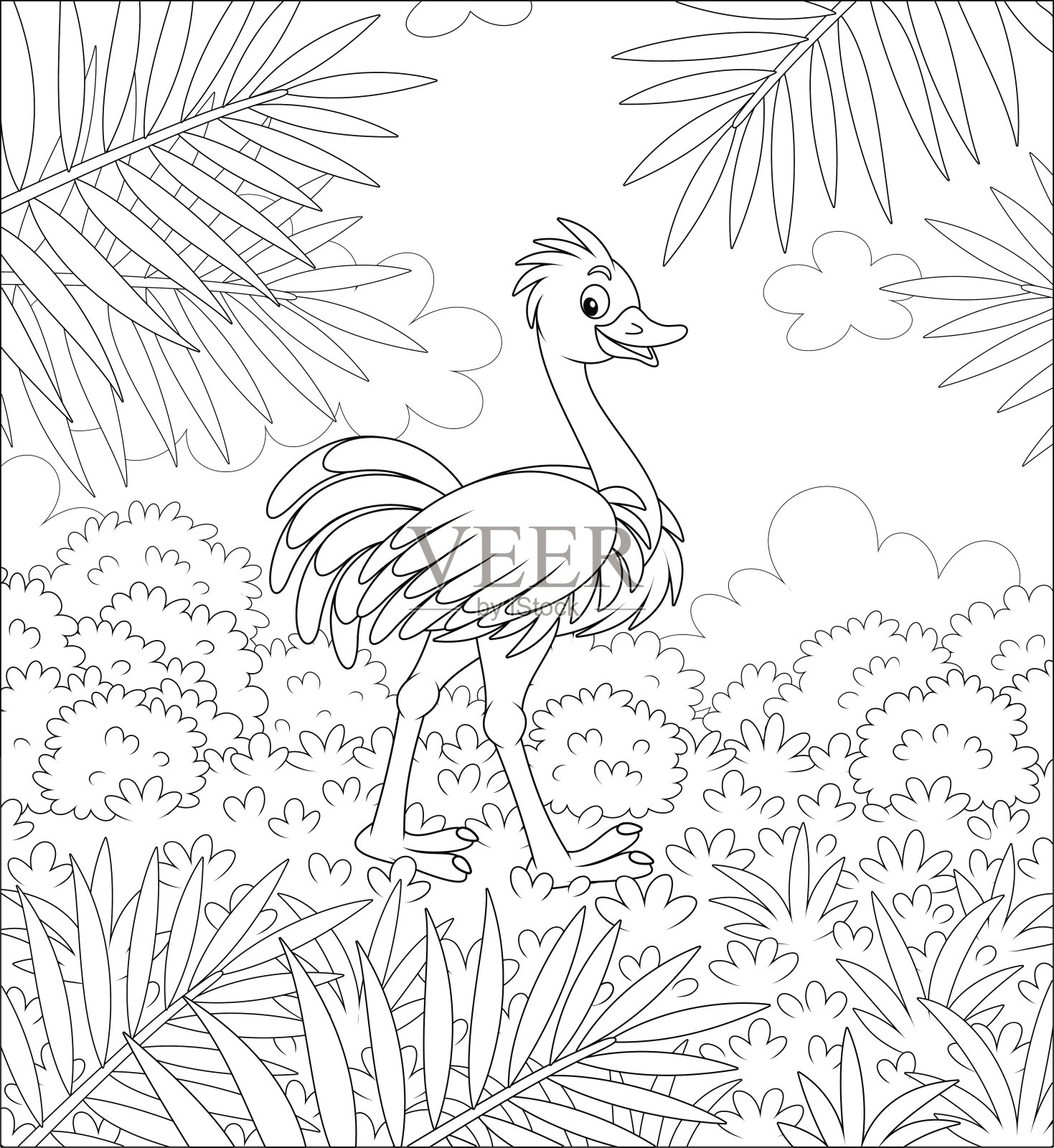 有趣的野生鸵鸟在绿色草原上行走插画图片素材