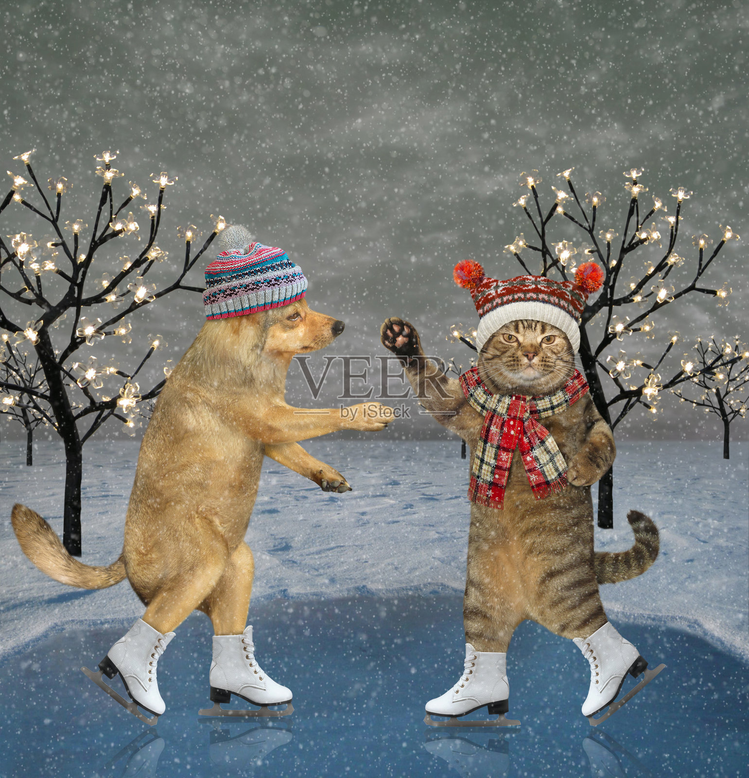 圣诞节猫和狗在池塘上溜冰照片摄影图片