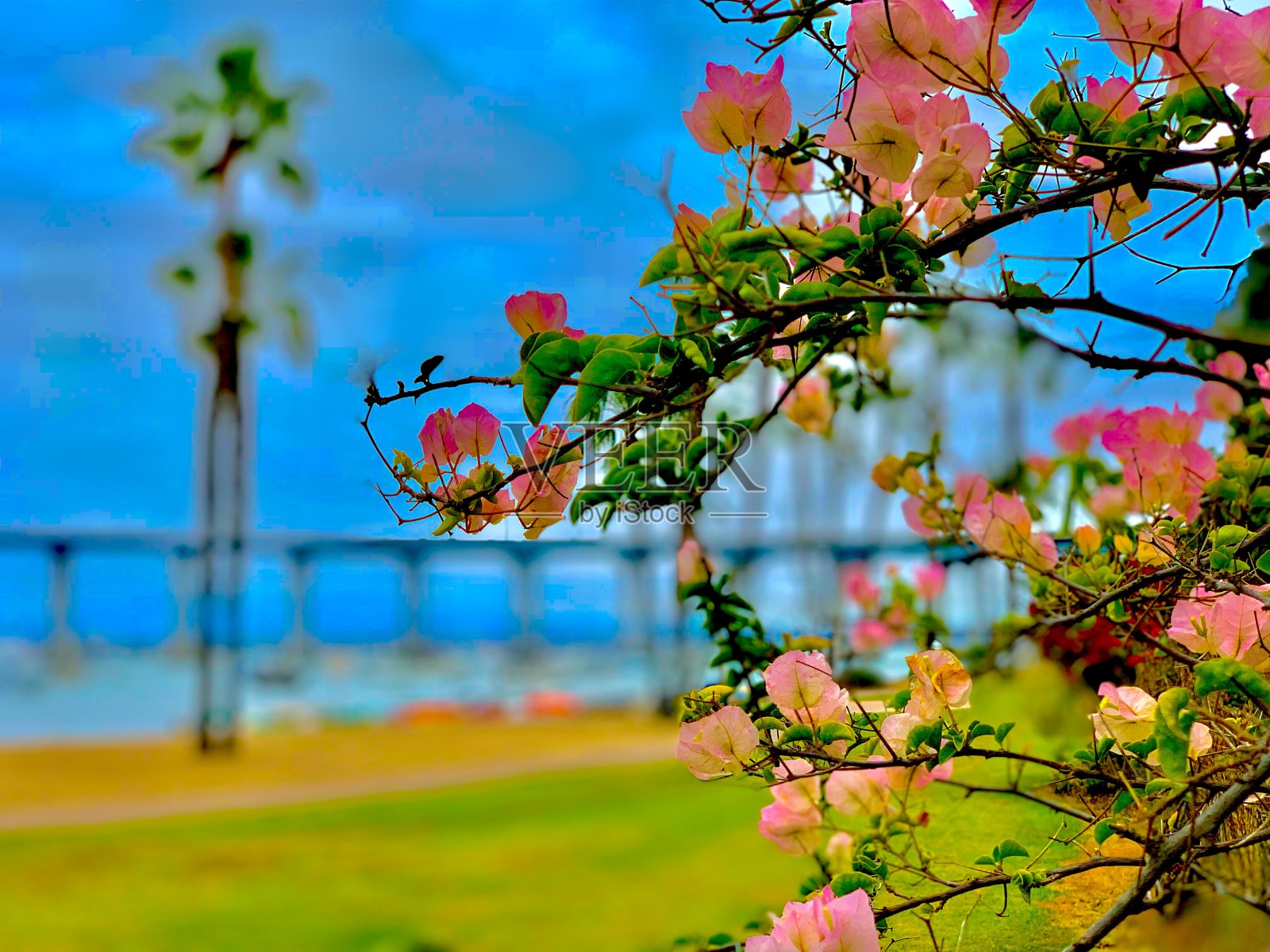 从自行车道上看到的景色照片摄影图片