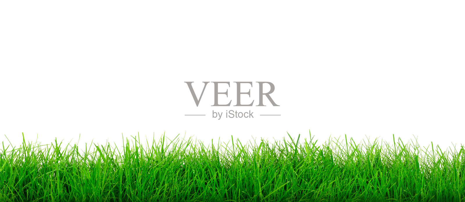 绿草模板照片摄影图片