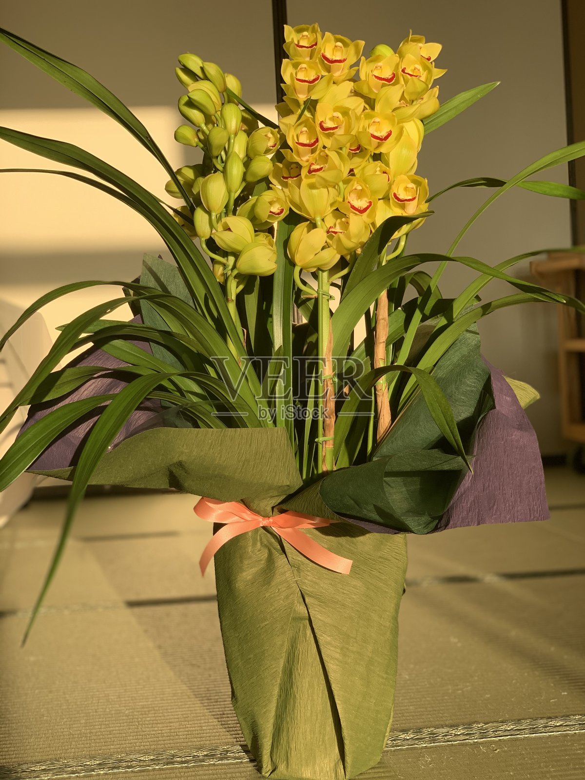 花兰库照片摄影图片