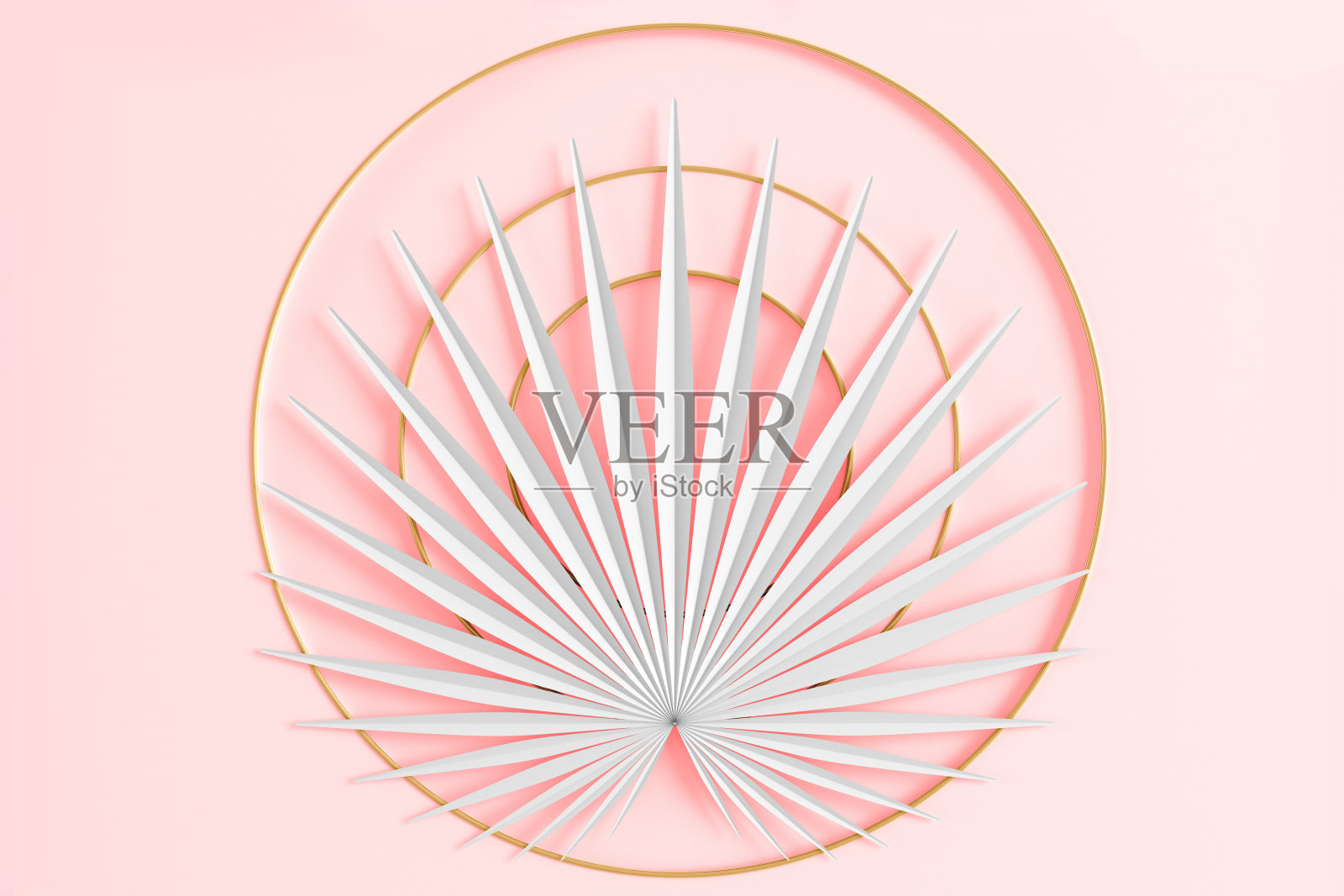 现代三维背景与图像的棕榈叶和圆圈周围的3D插图照片摄影图片