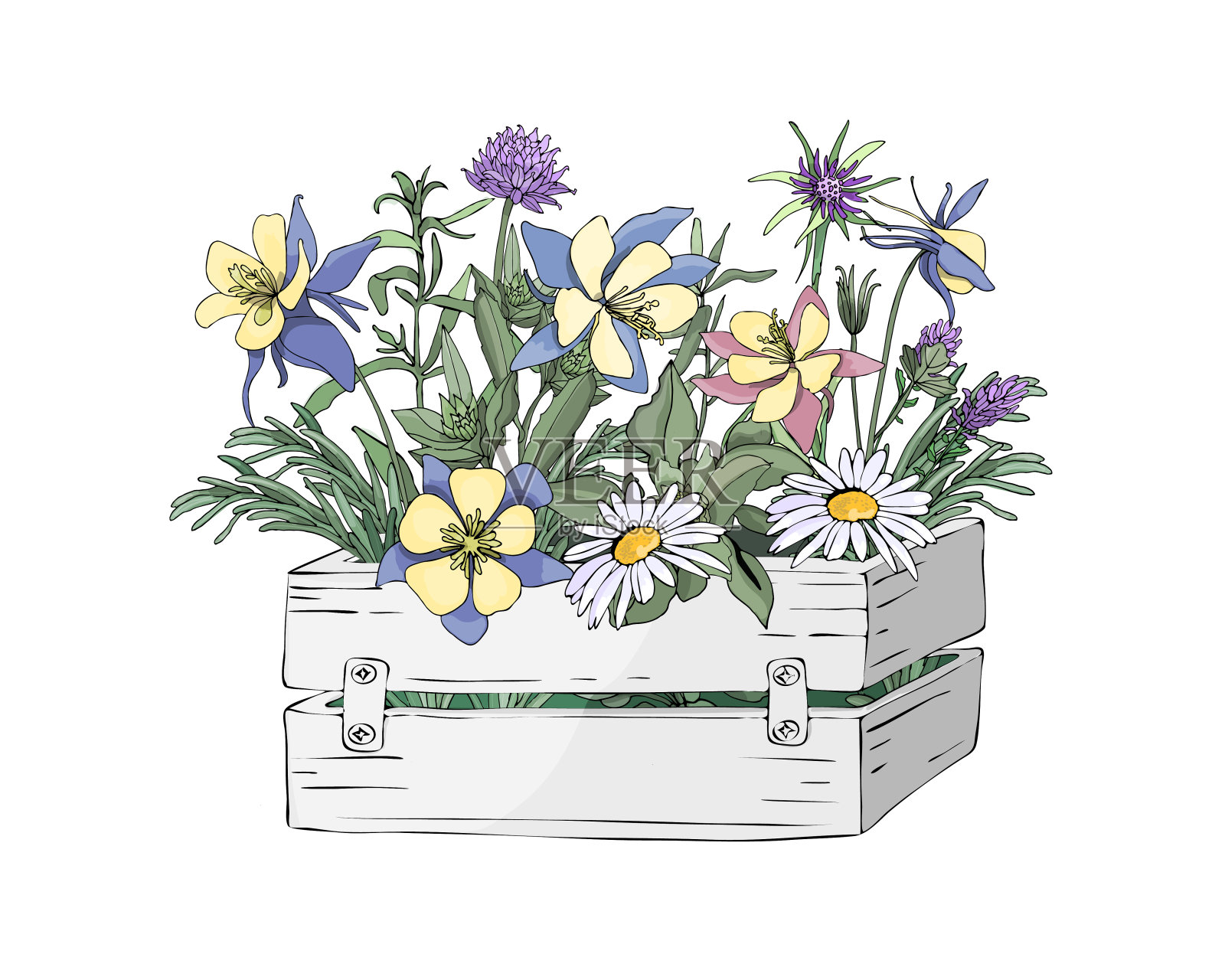 向量花园花在一个花园木制的白色盒子。插画图片素材