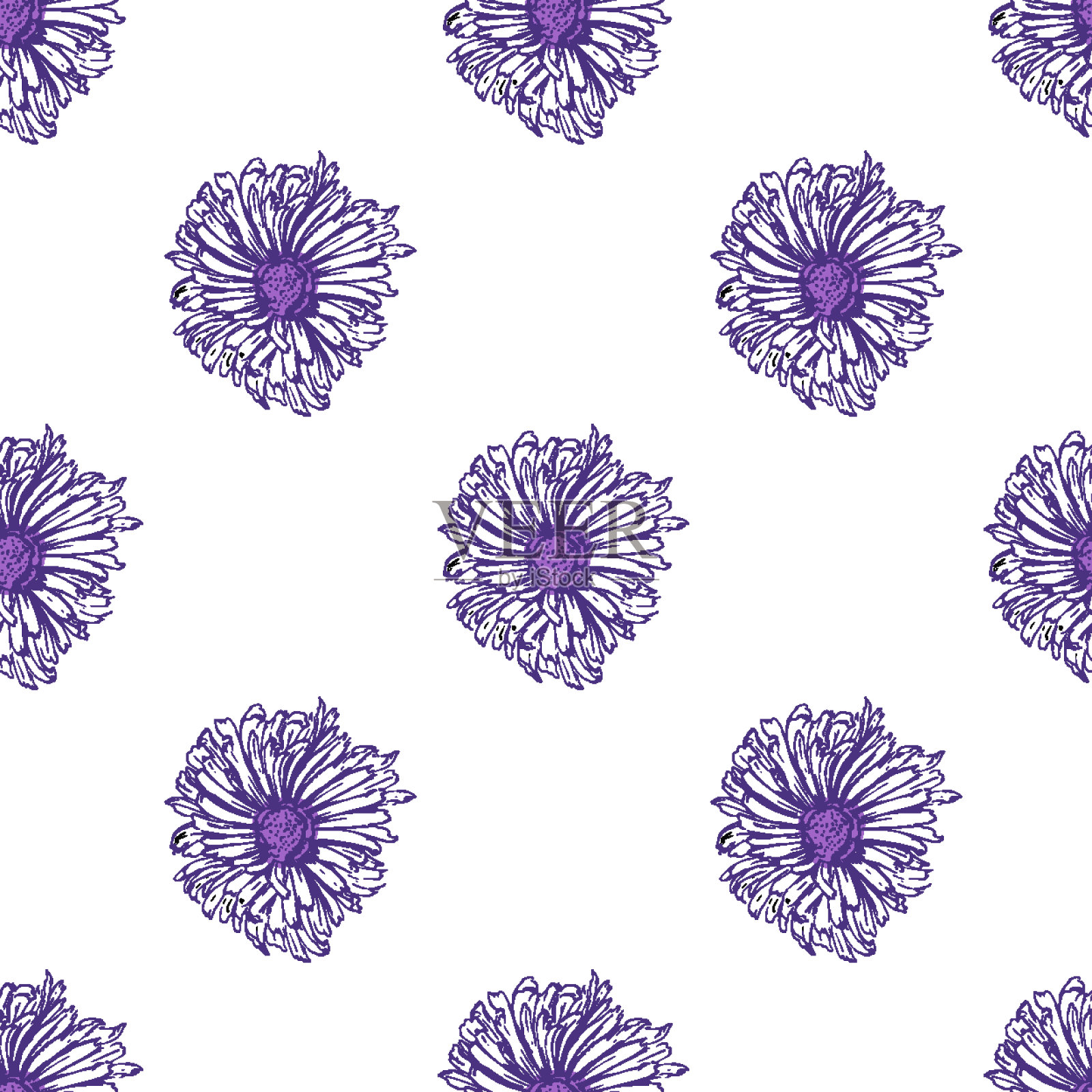 浪漫唯美的线形雏菊、菊花。印刷包装单色。有机矢量模式背景。插画图片素材