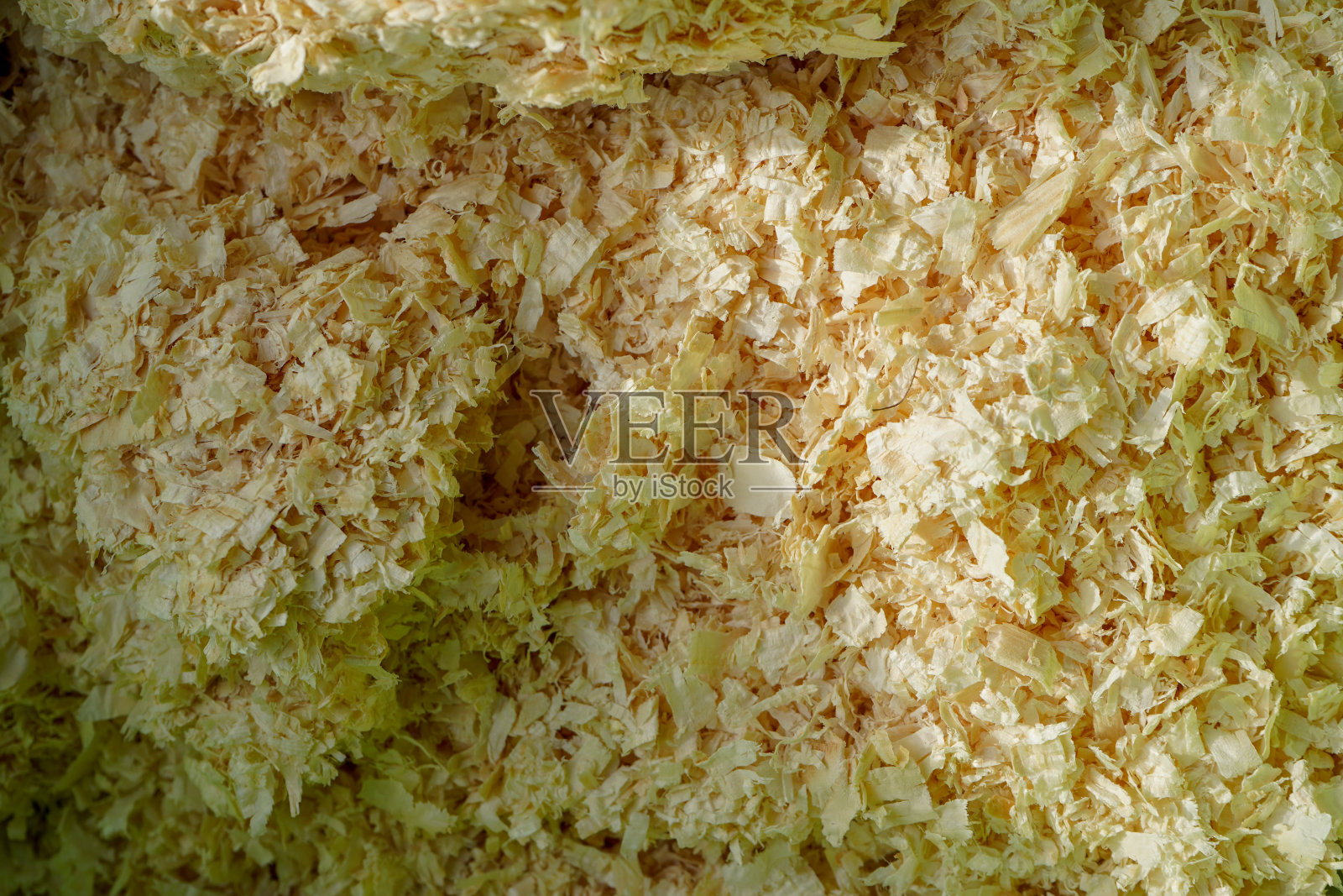 近距离的松木刨花照片摄影图片