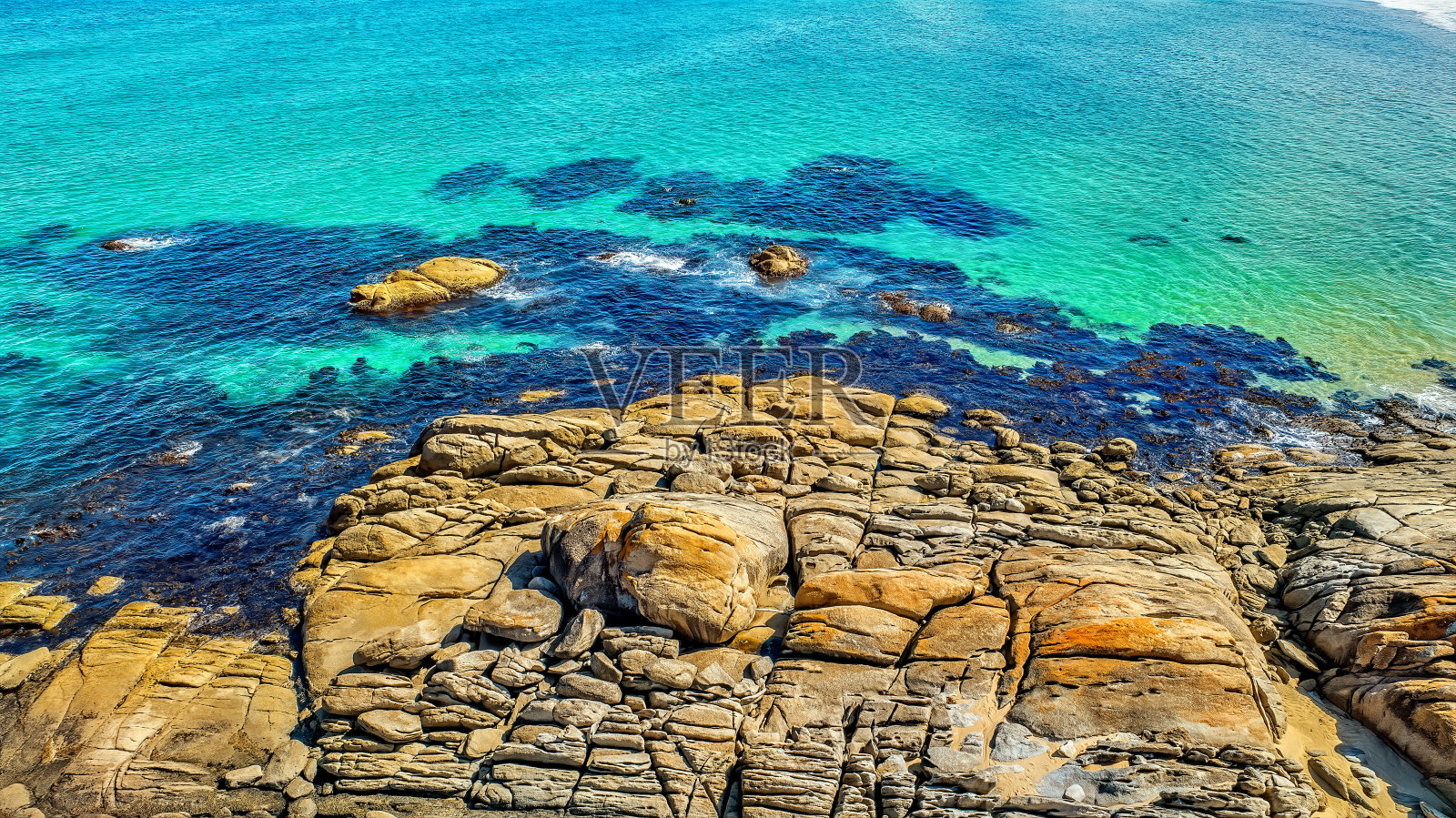 鲑鱼岩石照片摄影图片