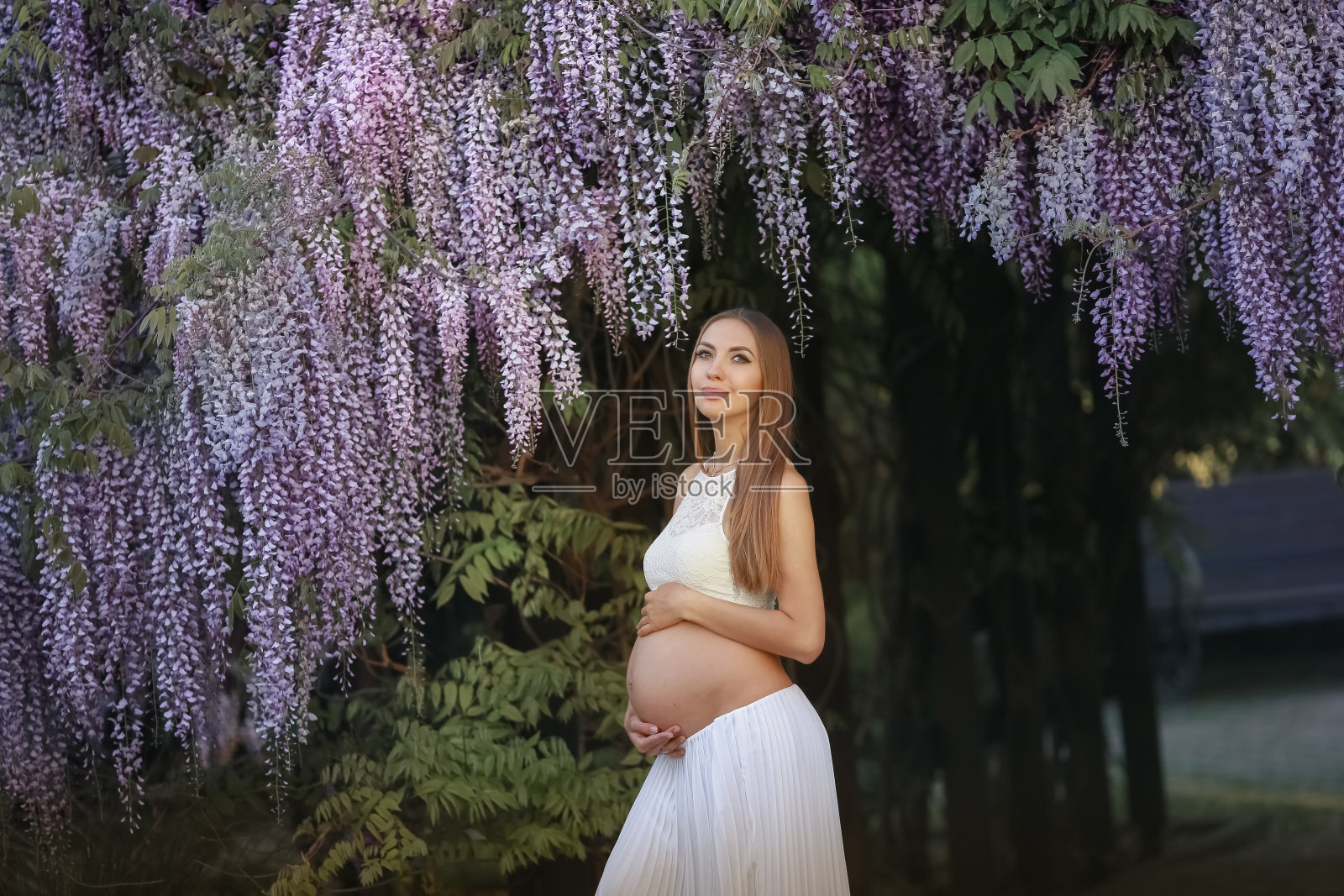 在盛开紫藤的花园里，一个年轻的孕妇敞开着肚皮照片摄影图片
