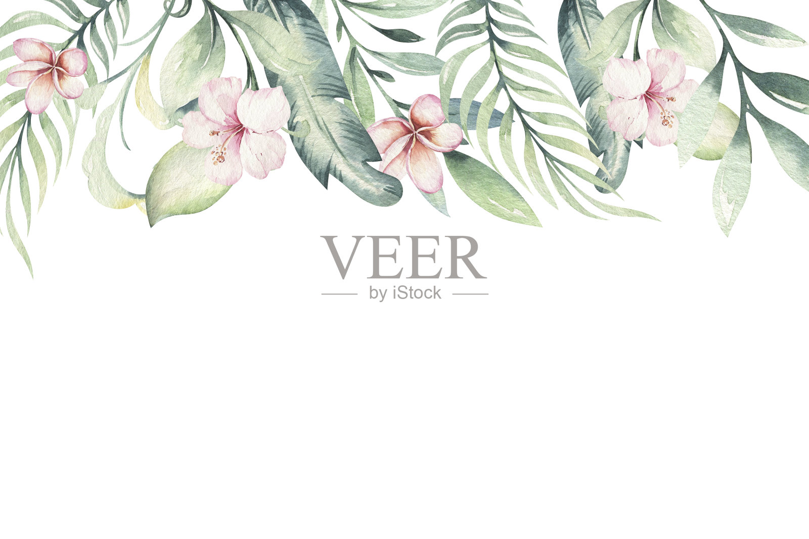 彩色热带树叶的水彩框架。丛林的概念为设计的邀请，贺卡和壁纸。插画图片素材