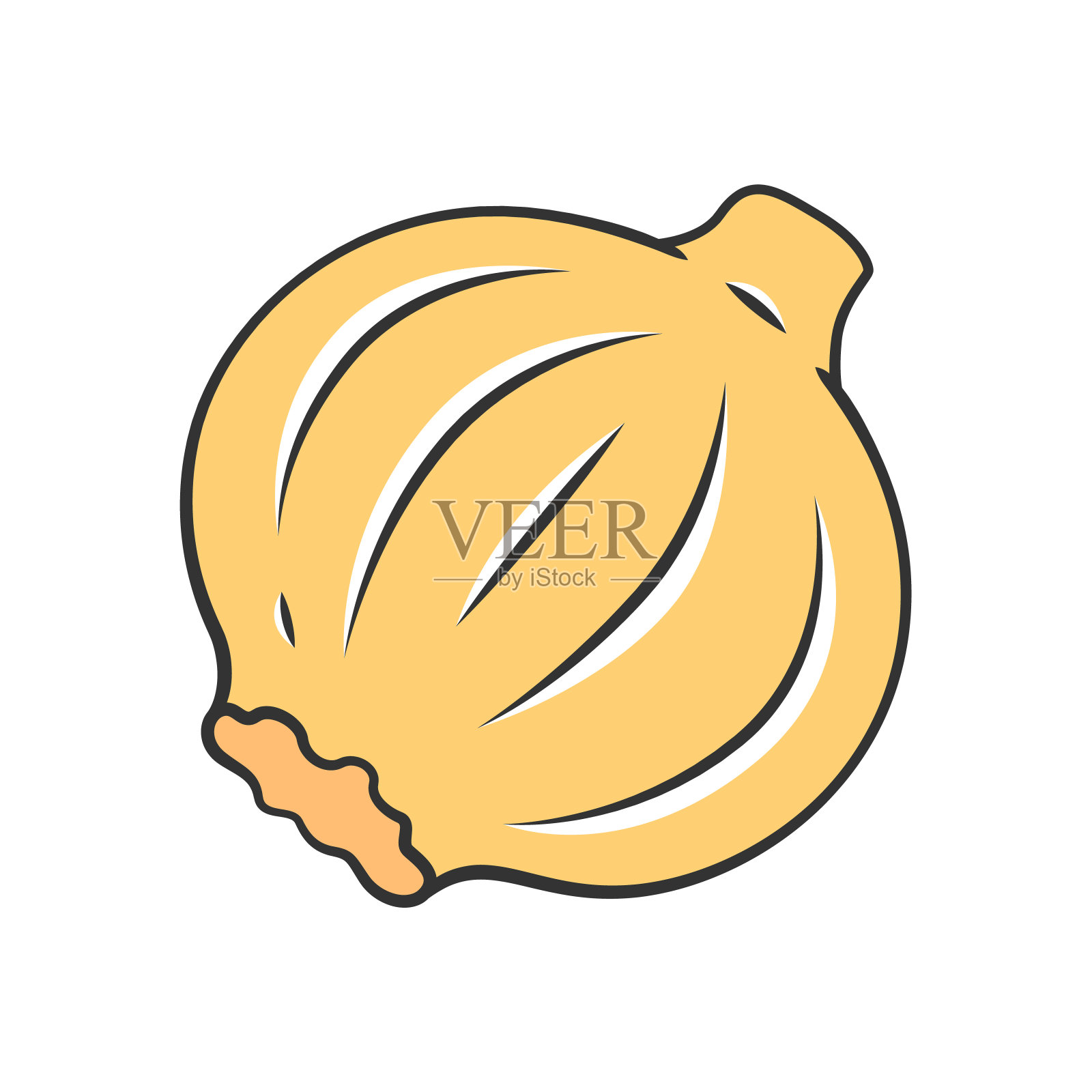 洋葱彩色图标插画图片素材