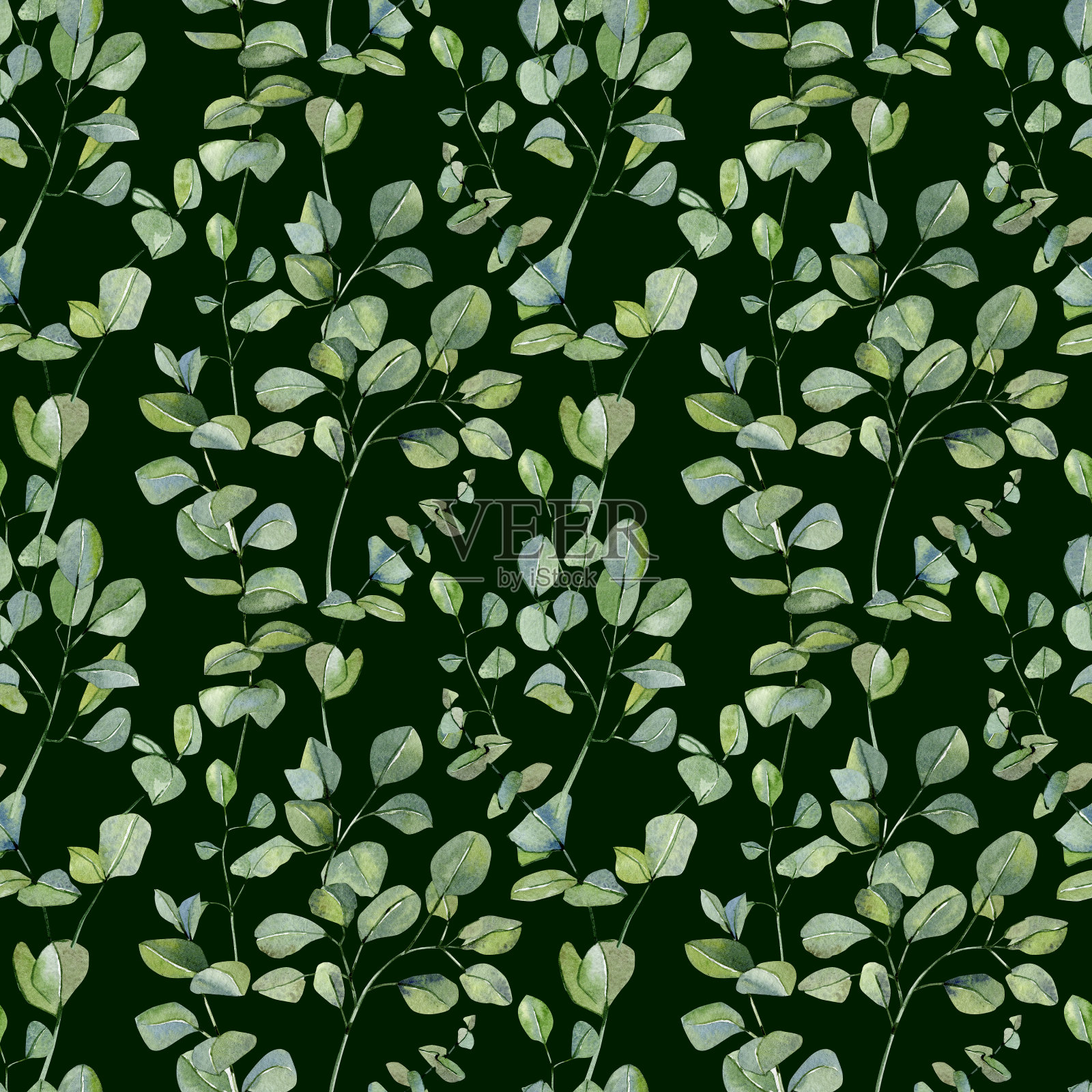 水彩手绘银元桉树无缝图案。绿叶的枝叶孤立在黑暗的背景上。花插图包装纸，打印和纺织织物，壁纸背景。插画图片素材