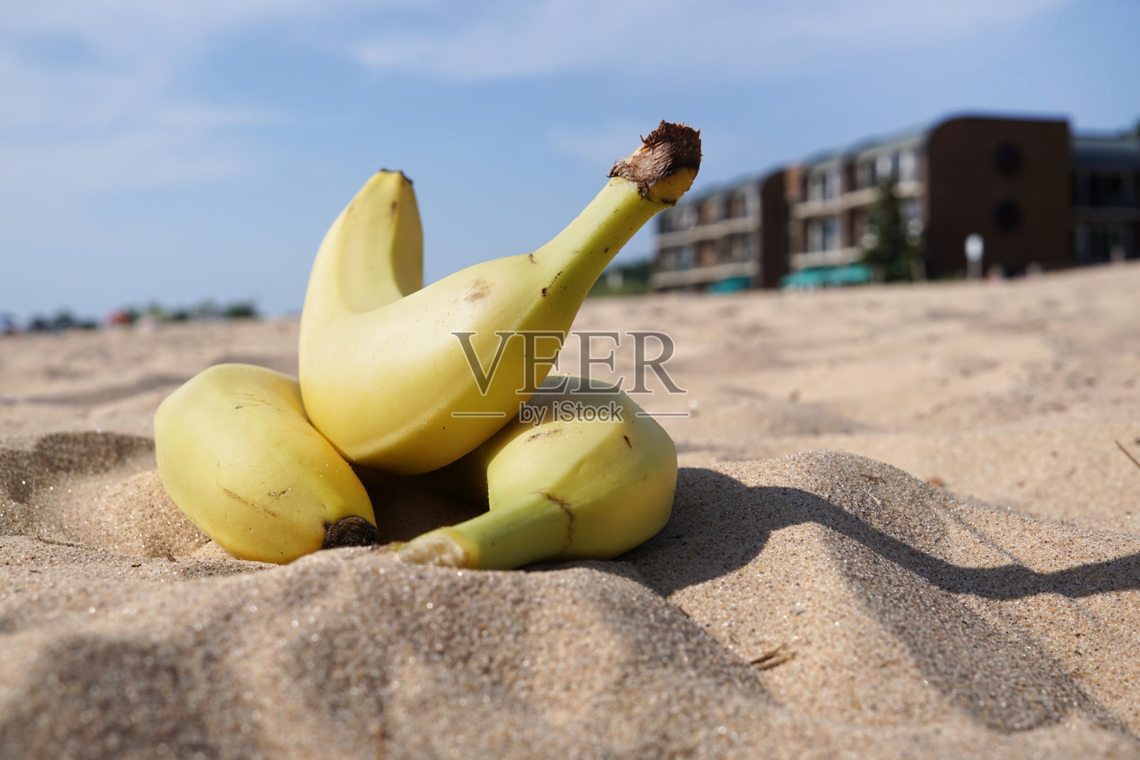 三个香蕉在美国的沙滩上照片摄影图片