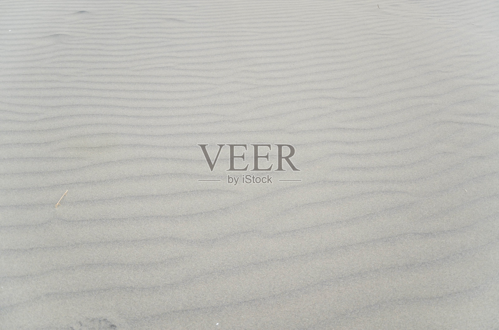 桃源观音乡海岸沙丘。照片摄影图片