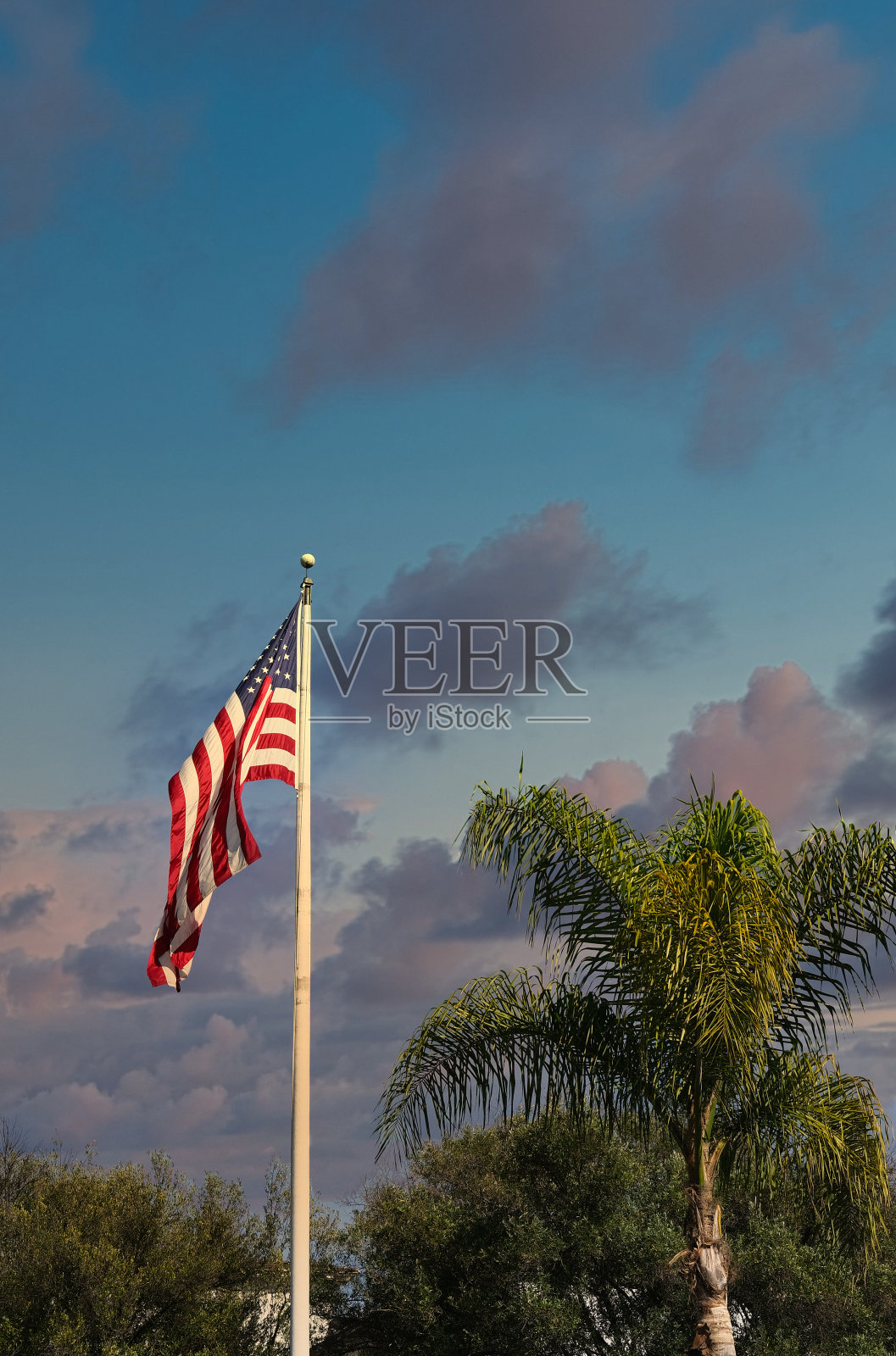 热带美国日落照片摄影图片