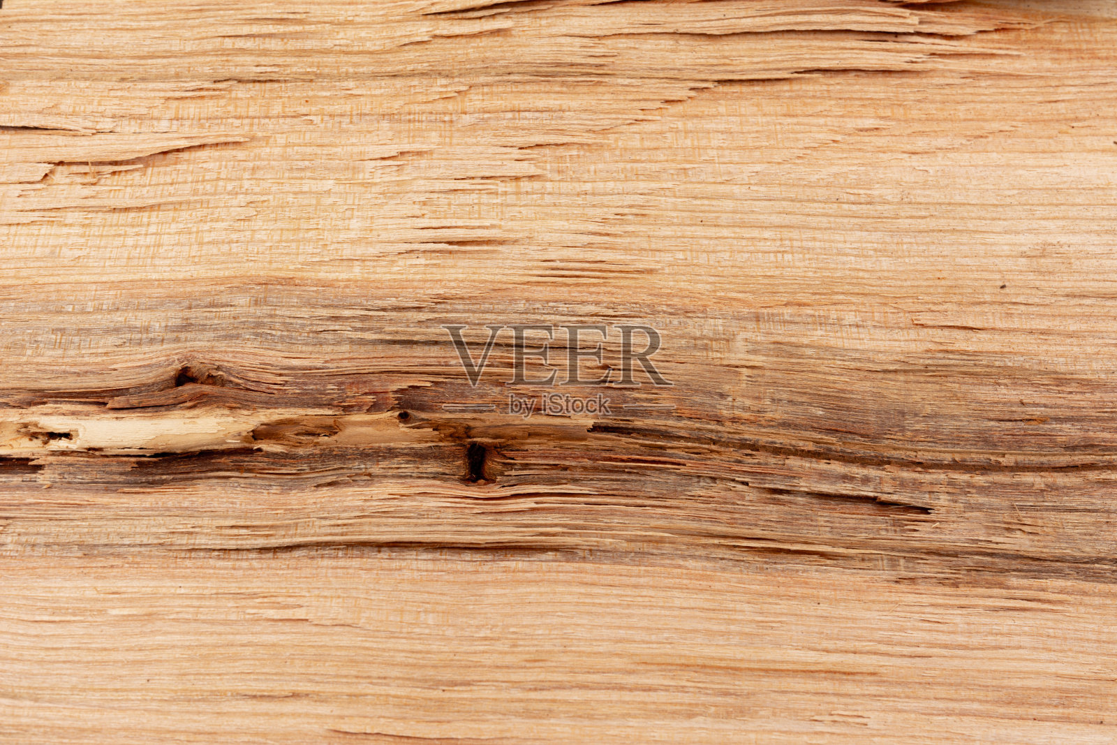 剪下来的树桩的纹理，棕色的纹理。照片摄影图片