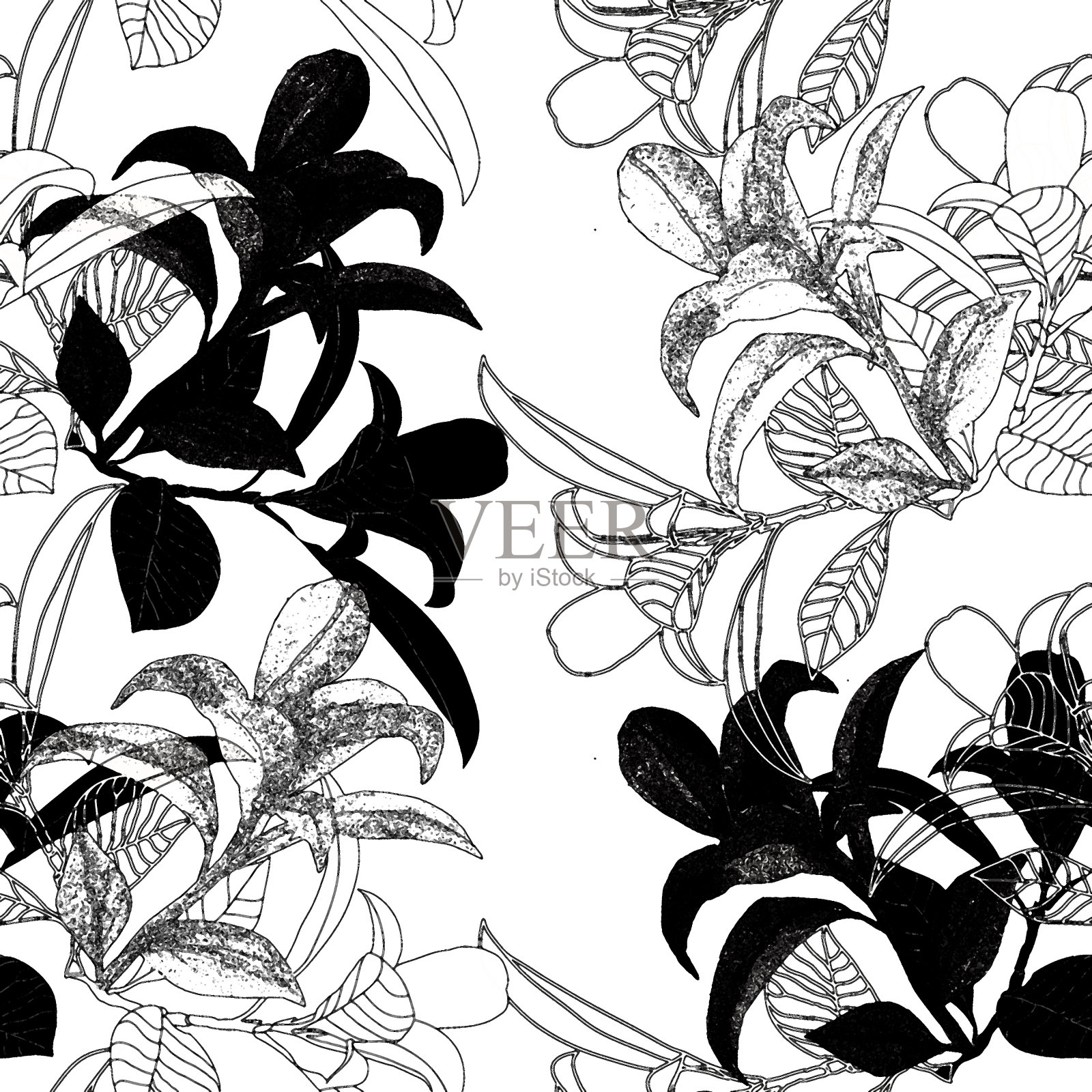 灌木装饰分支。插画图片素材