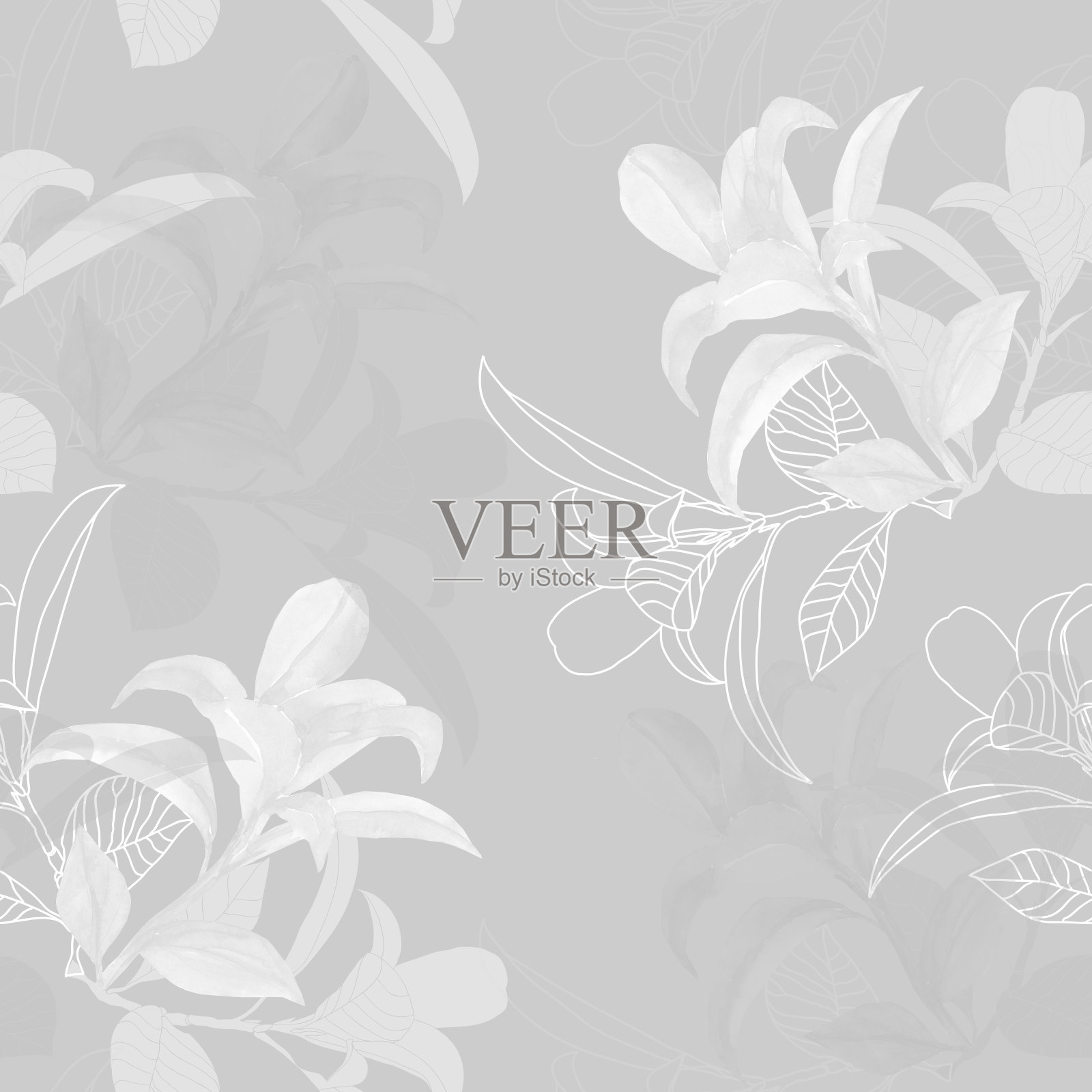 灌木装饰分支。插画图片素材