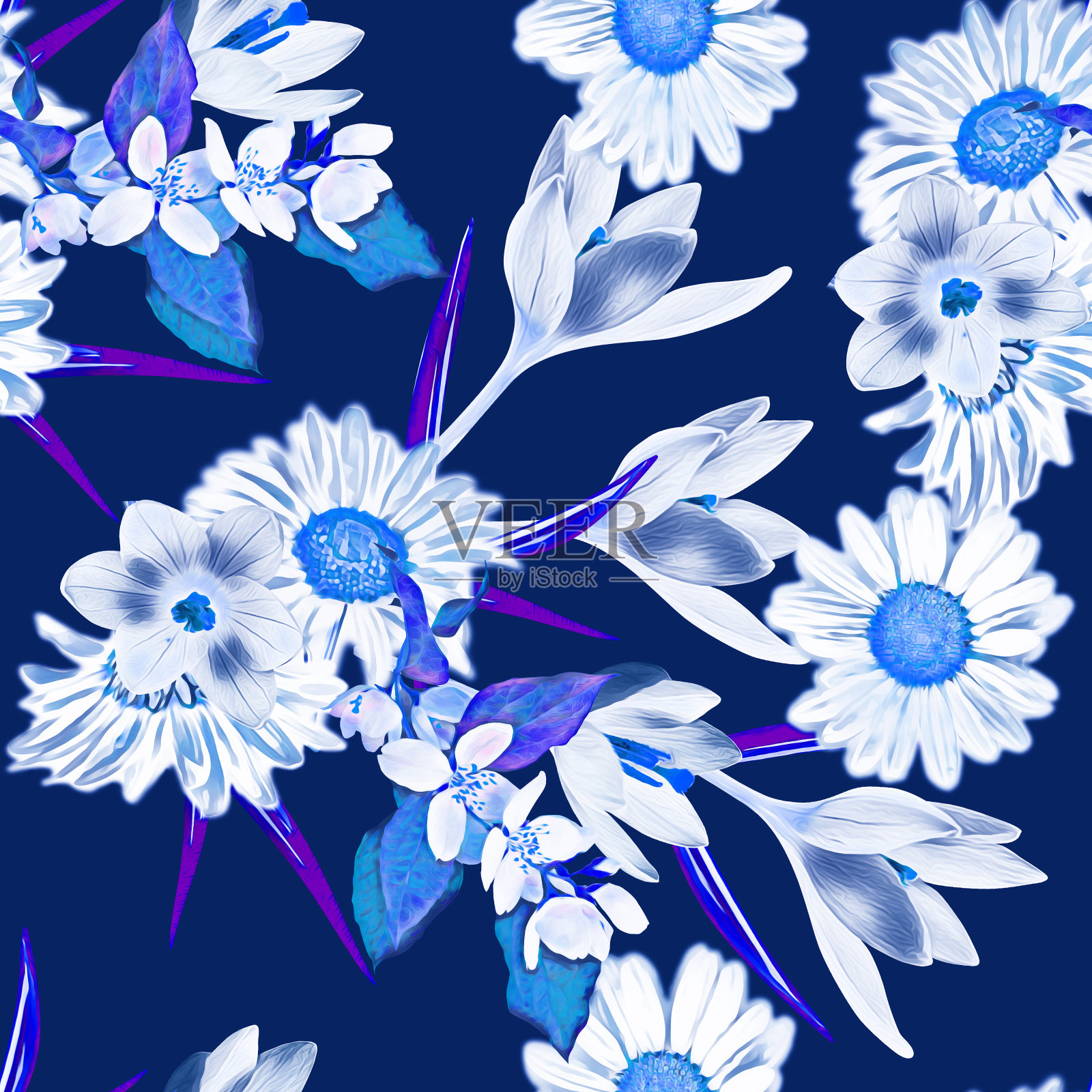 番红花和洋甘菊花，图案无缝。插画图片素材