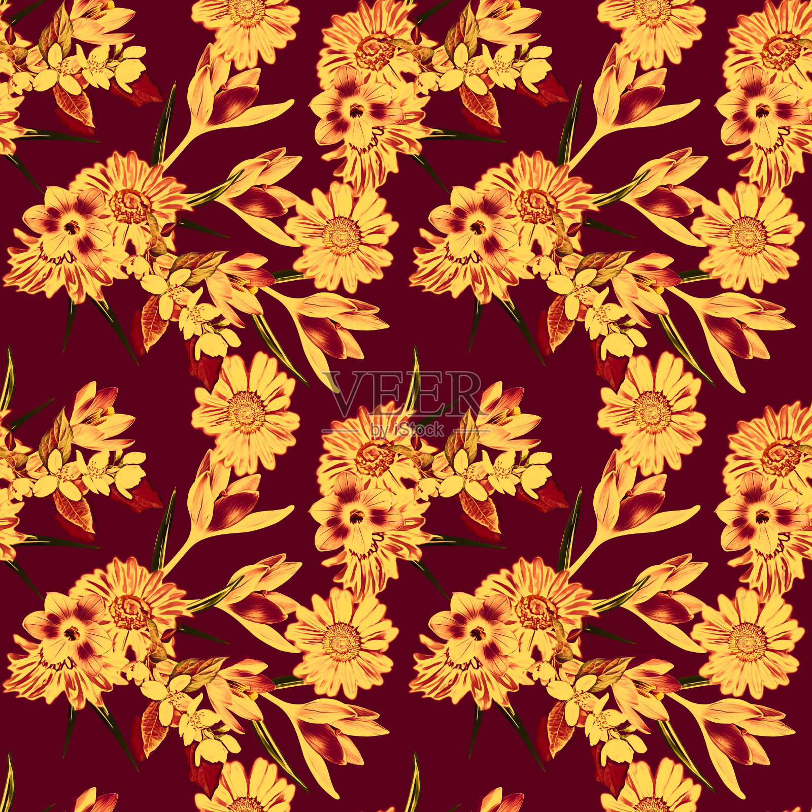 番红花和洋甘菊花，图案无缝。插画图片素材