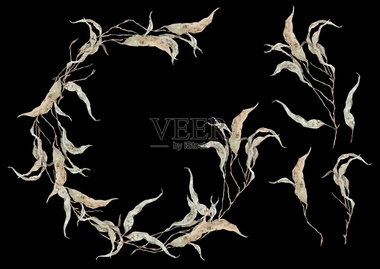 Lagom秋桉树花环。水彩银色桉树圆形框架的婚礼和活动邀请。绿色植物设置孤立的白色背景插画图片素材