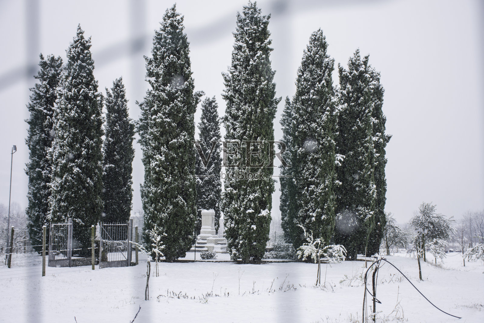 路易吉·斯托克纪念碑周围有柏树照片摄影图片