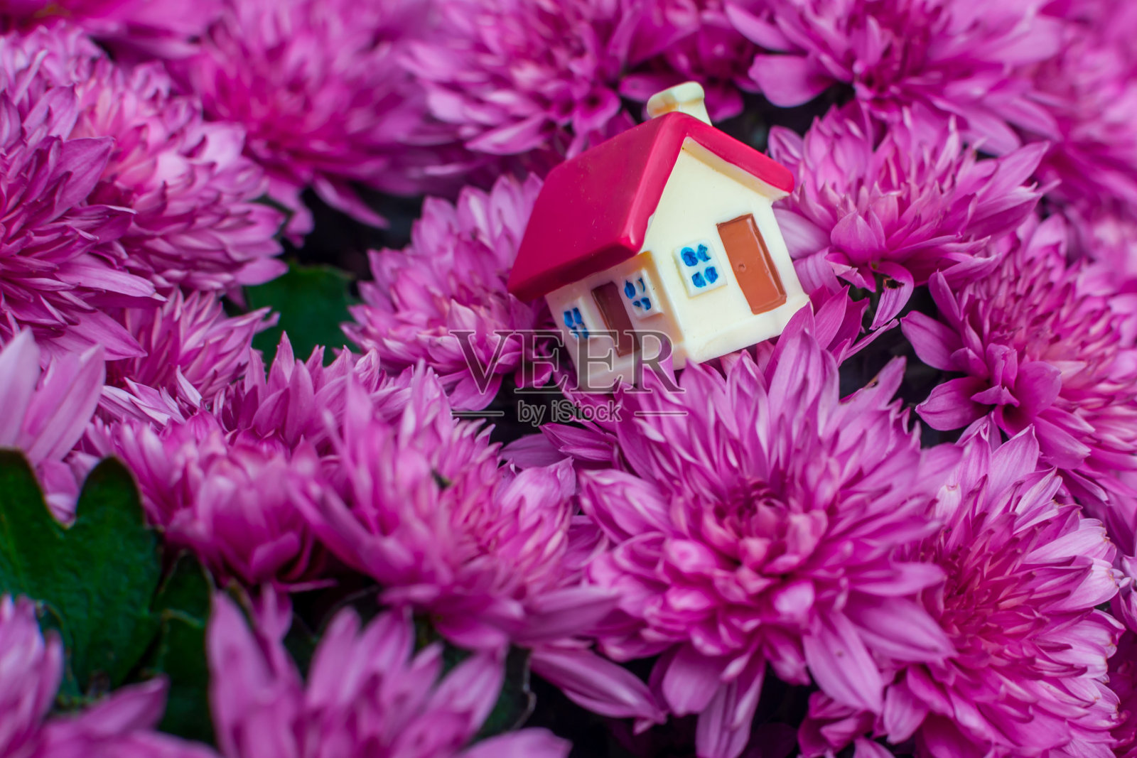 玩具屋和花照片摄影图片