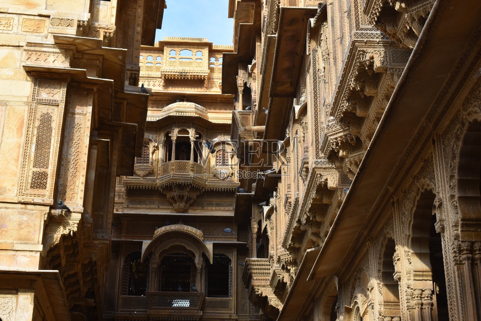 帕特旺基·哈利照片摄影图片