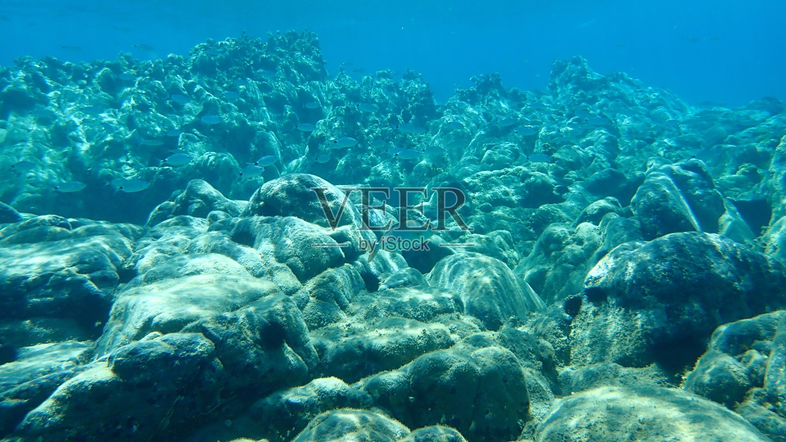 伟大的安伯利。照片摄影图片