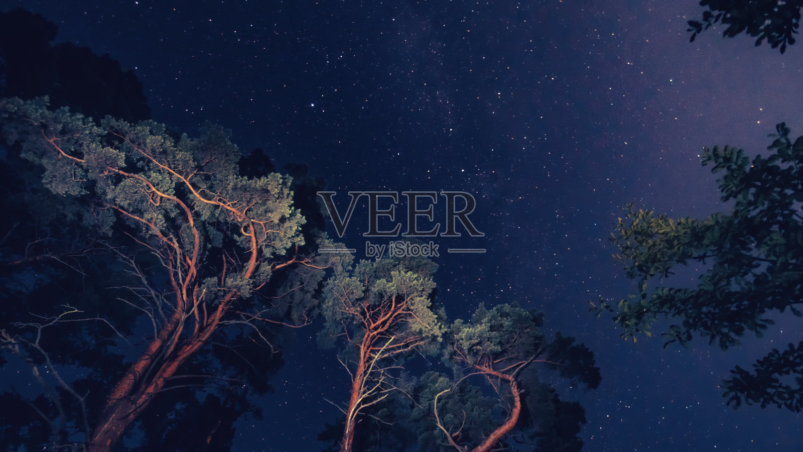 银河在美丽的夜空上，银河和树木照片摄影图片