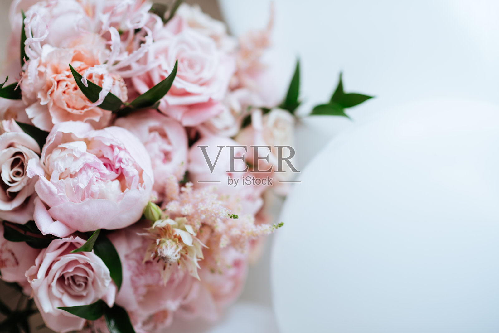 毛茸茸的粉色牡丹花背景照片摄影图片