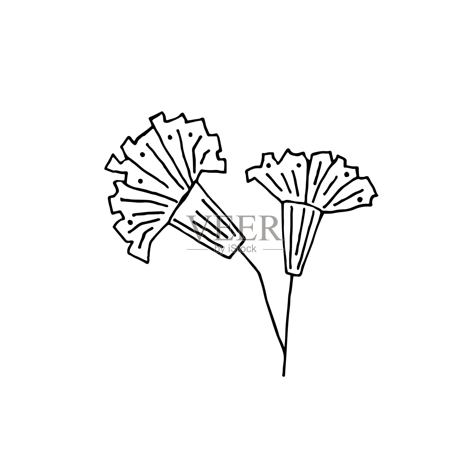 植物矢量涂鸦插图。插画图片素材