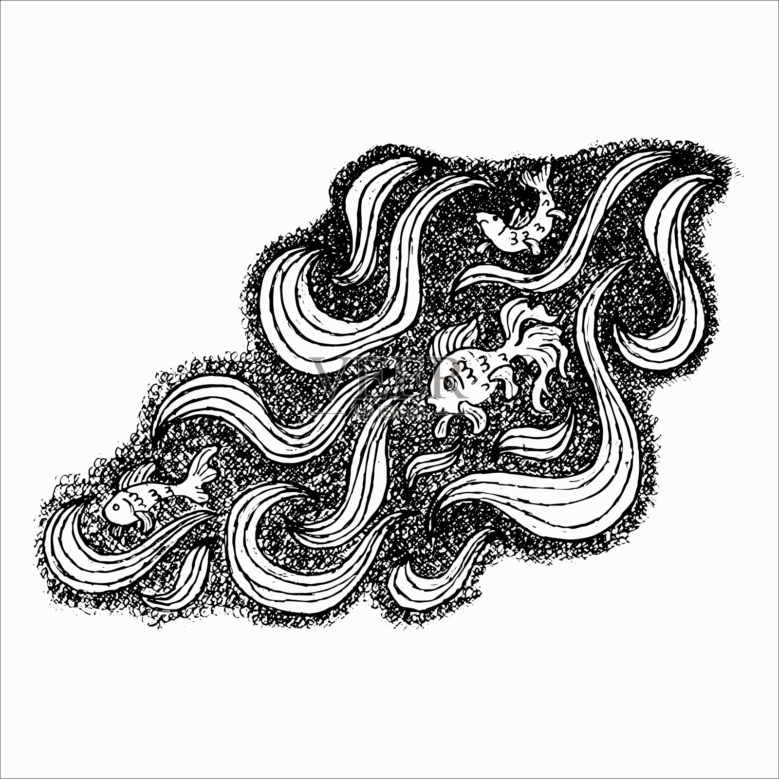 海鱼手绘素描孤立在白色插画图片素材