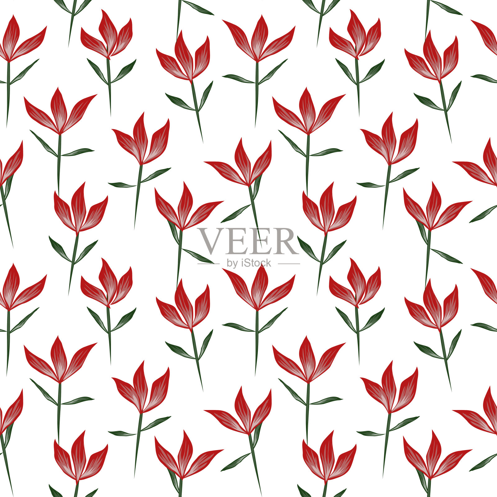 色彩缤纷的热带花卉无缝图案插画图片素材