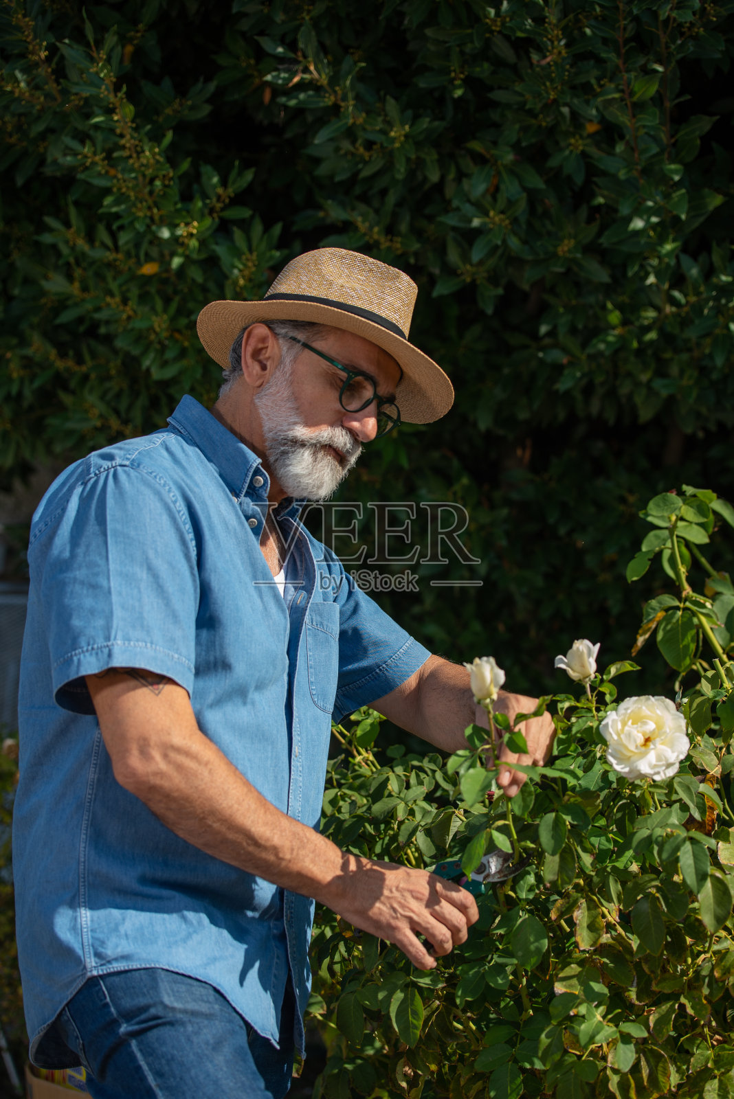 温室里英俊的园丁。照片摄影图片