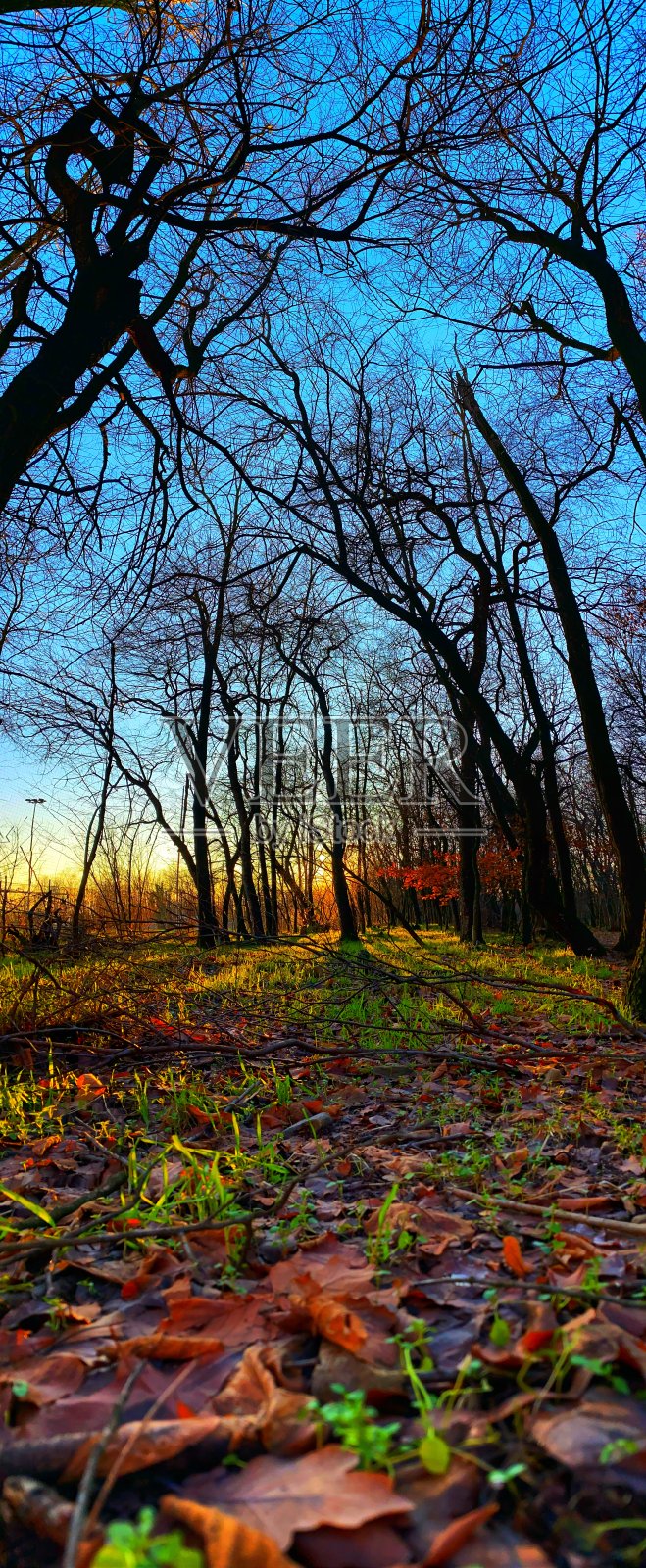 秋色公园照片摄影图片