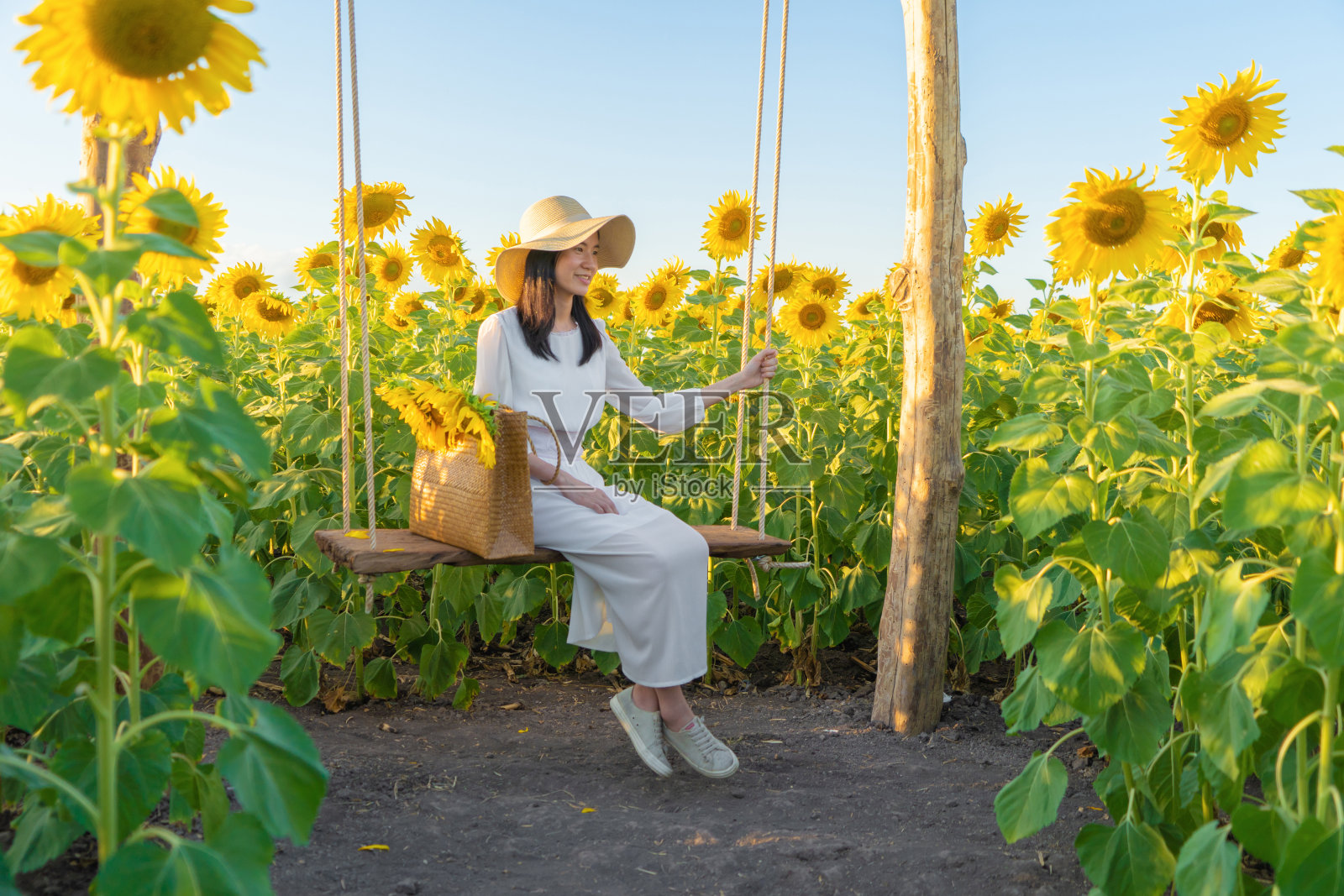 快乐的亚洲女人的肖像享受和放松在一个盛开的向日葵田在旅游假期假期旅行户外在自然花园公园中午在泰国华府里。的生活方式。照片摄影图片