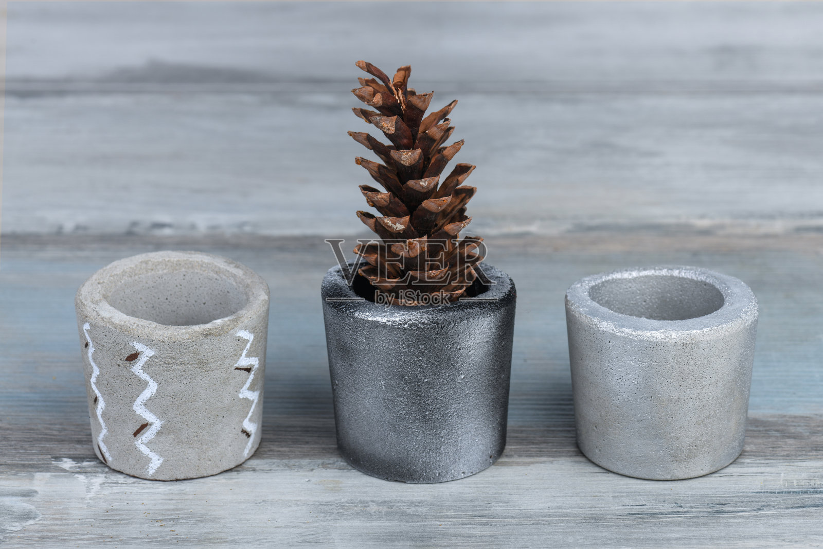 混凝土花盆中的松果照片摄影图片