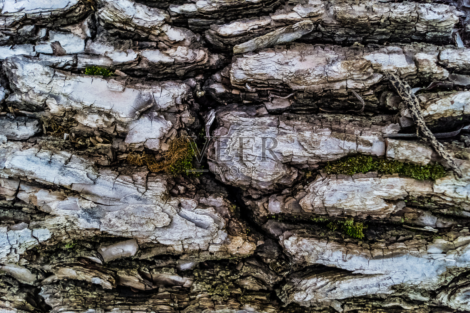 木材纹理照片摄影图片